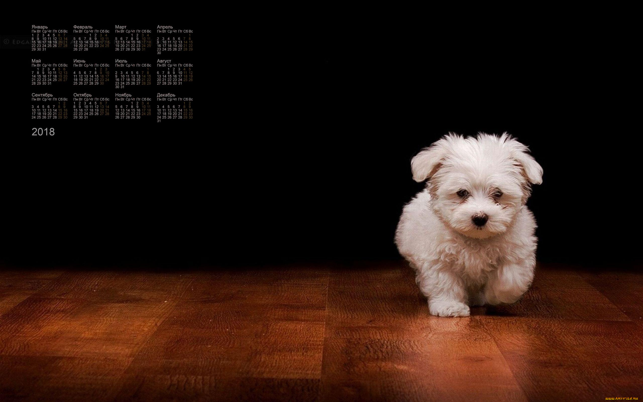 календари, животные, собака, 2018