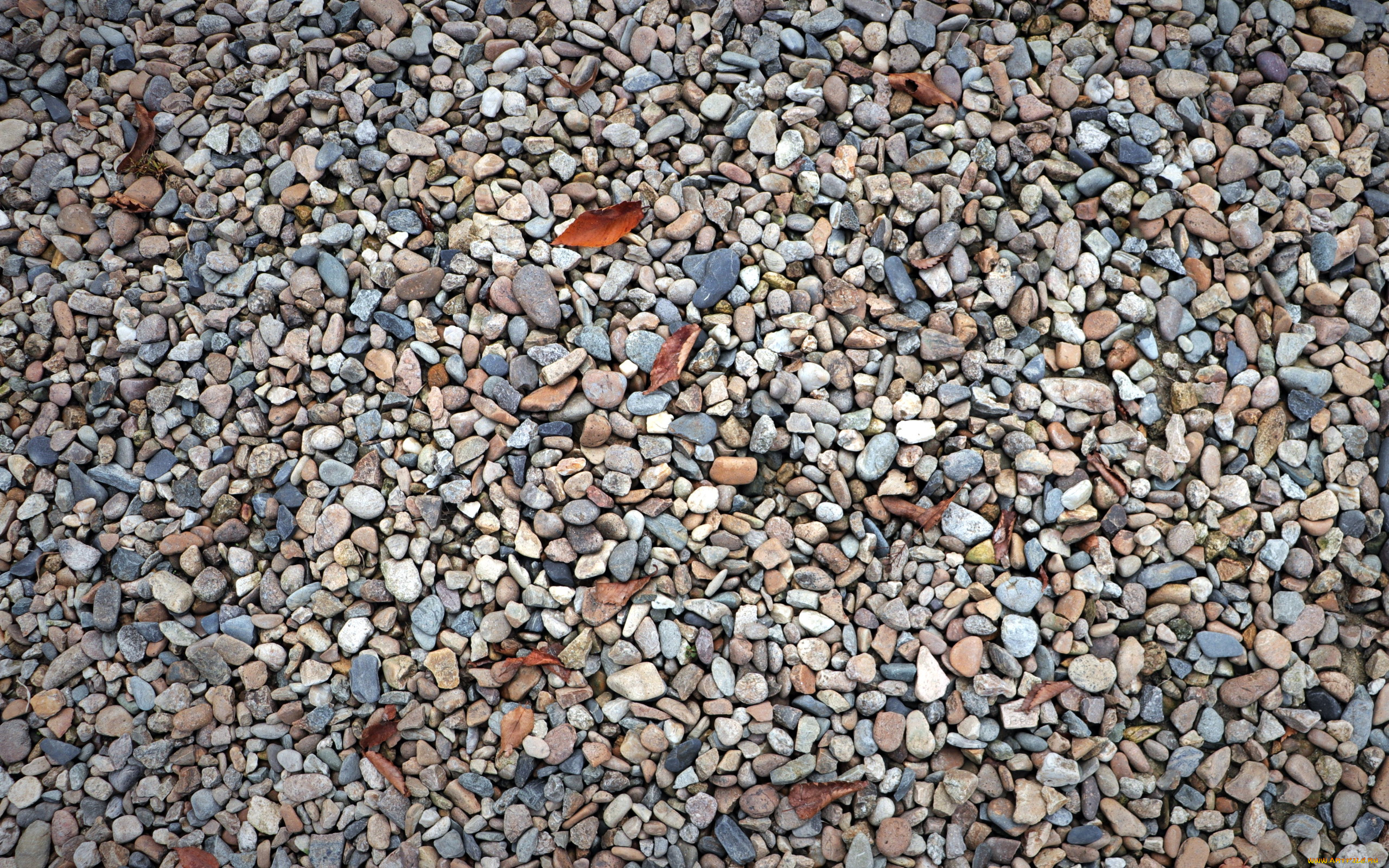 природа, камни, , минералы, галька