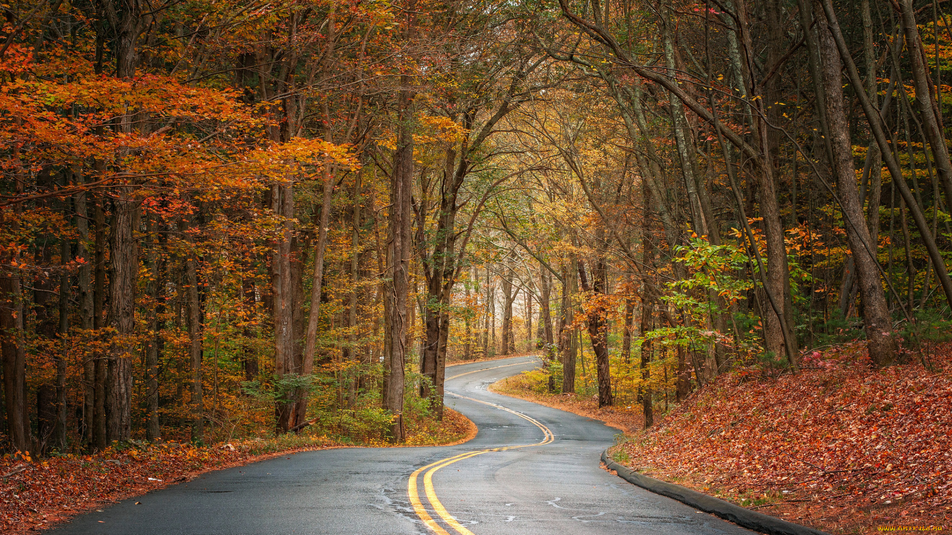 природа, дороги, простор