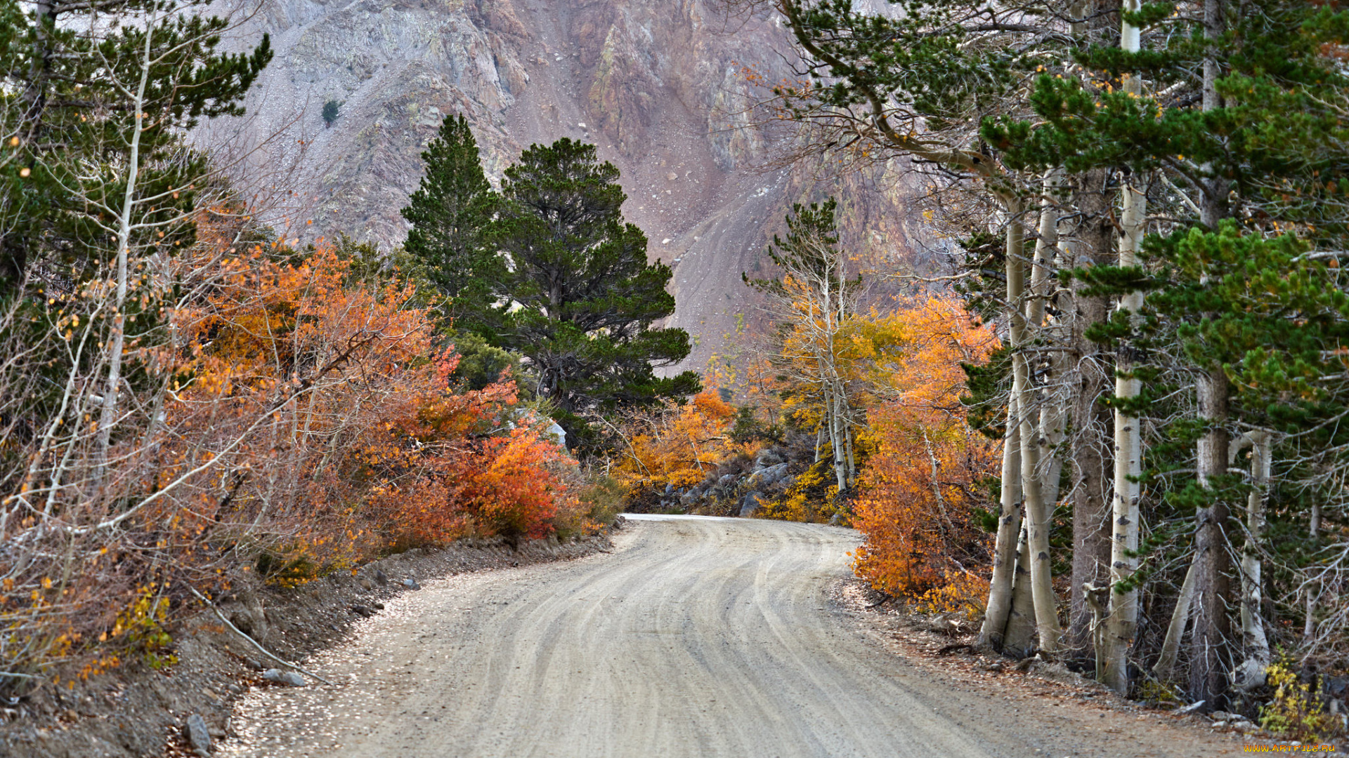 природа, дороги, простор