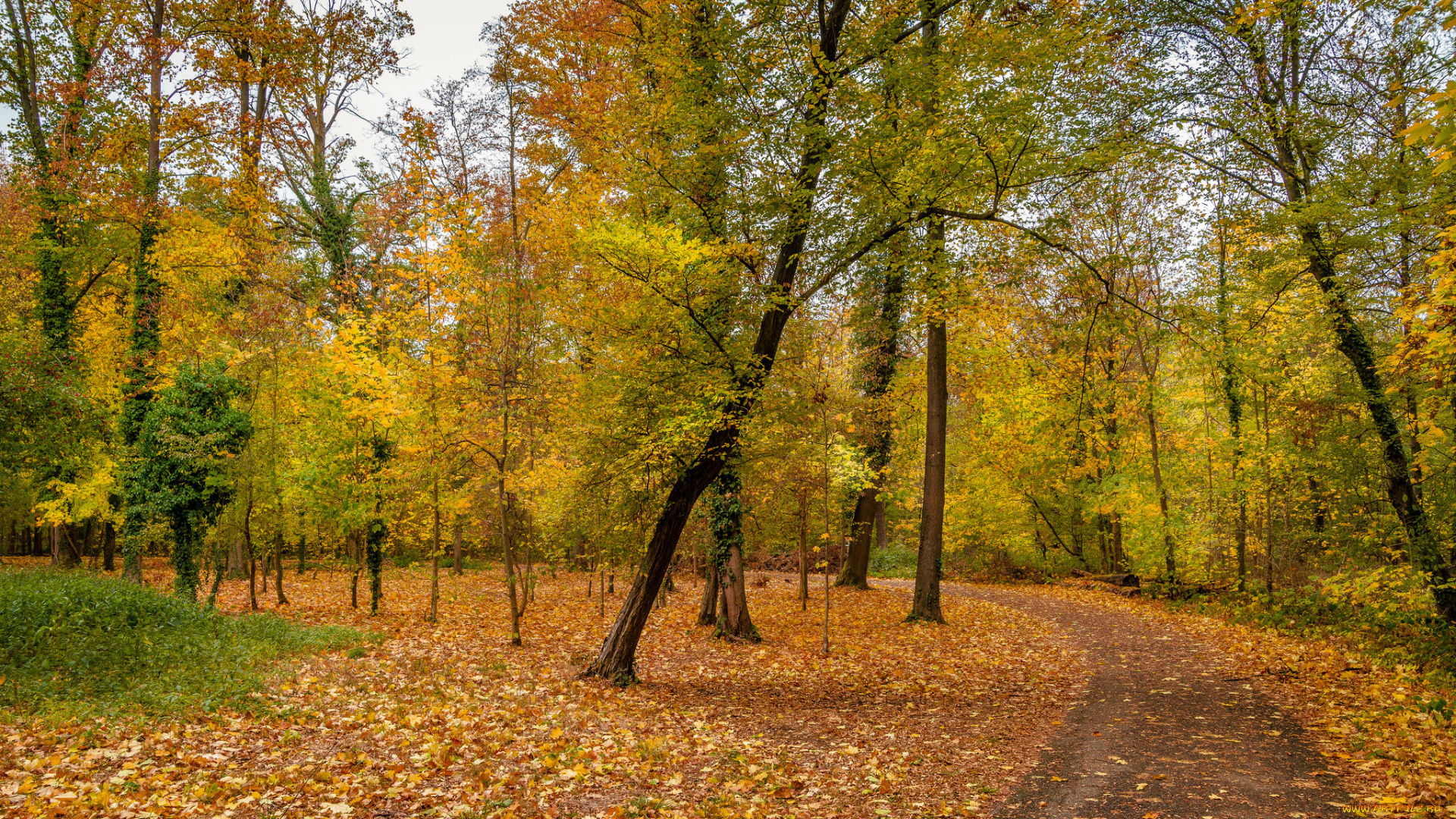 природа, дороги, простор