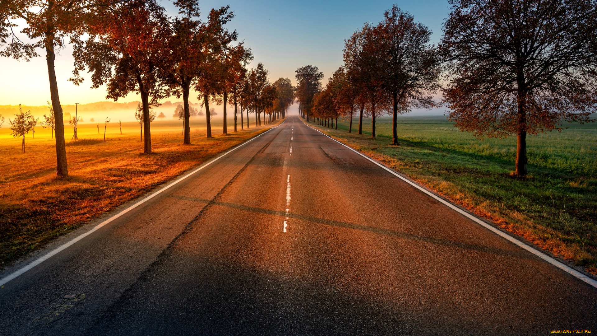 природа, дороги, простор