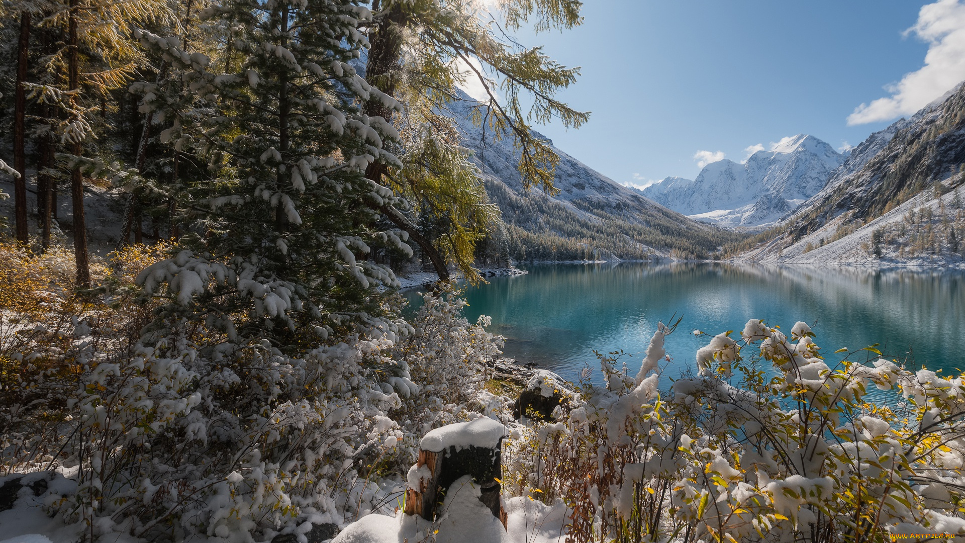 природа, горы, алтайские, деревья, снег, зима, озеро, россия, горный, алтай