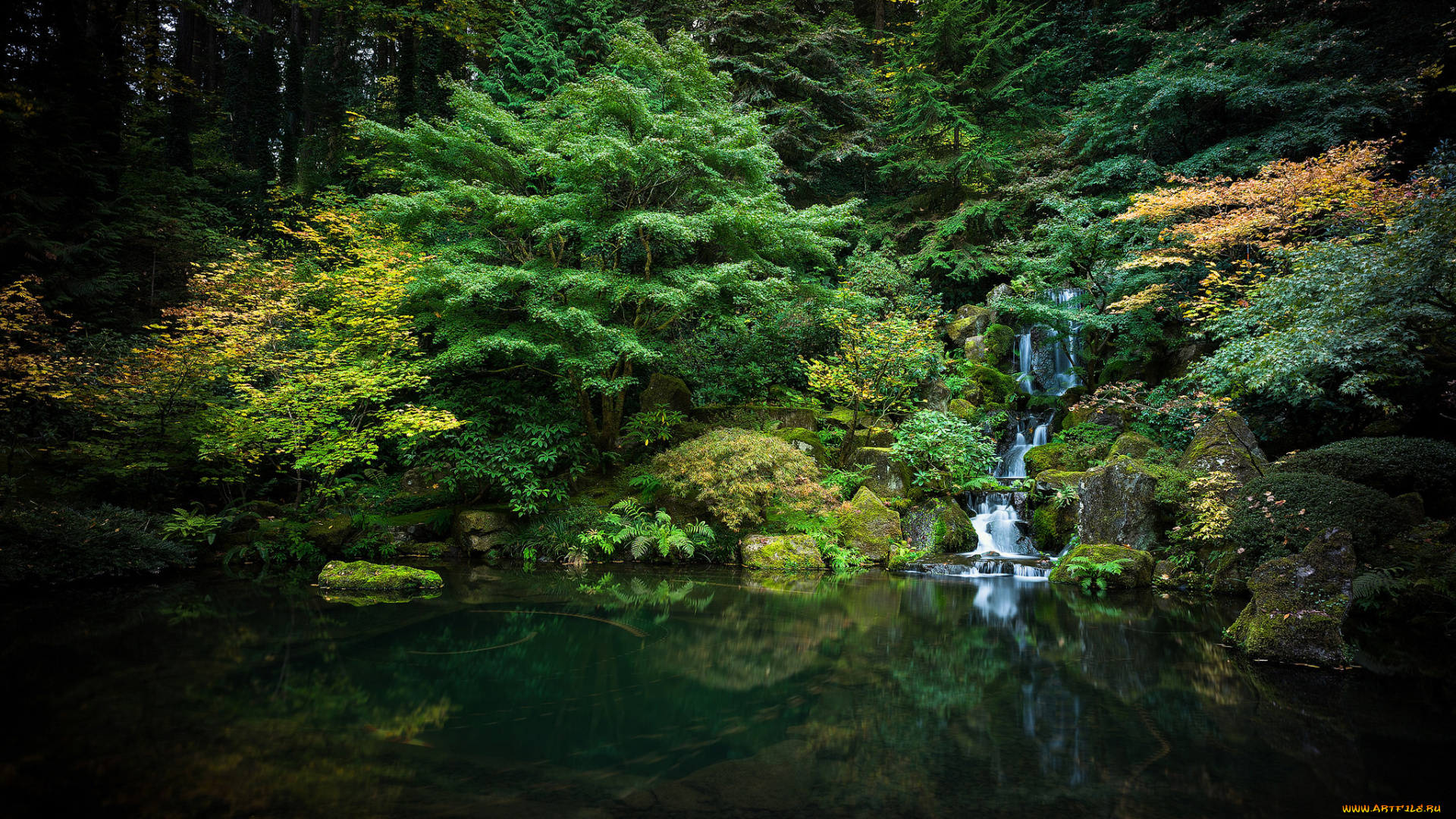 природа, лес, простор