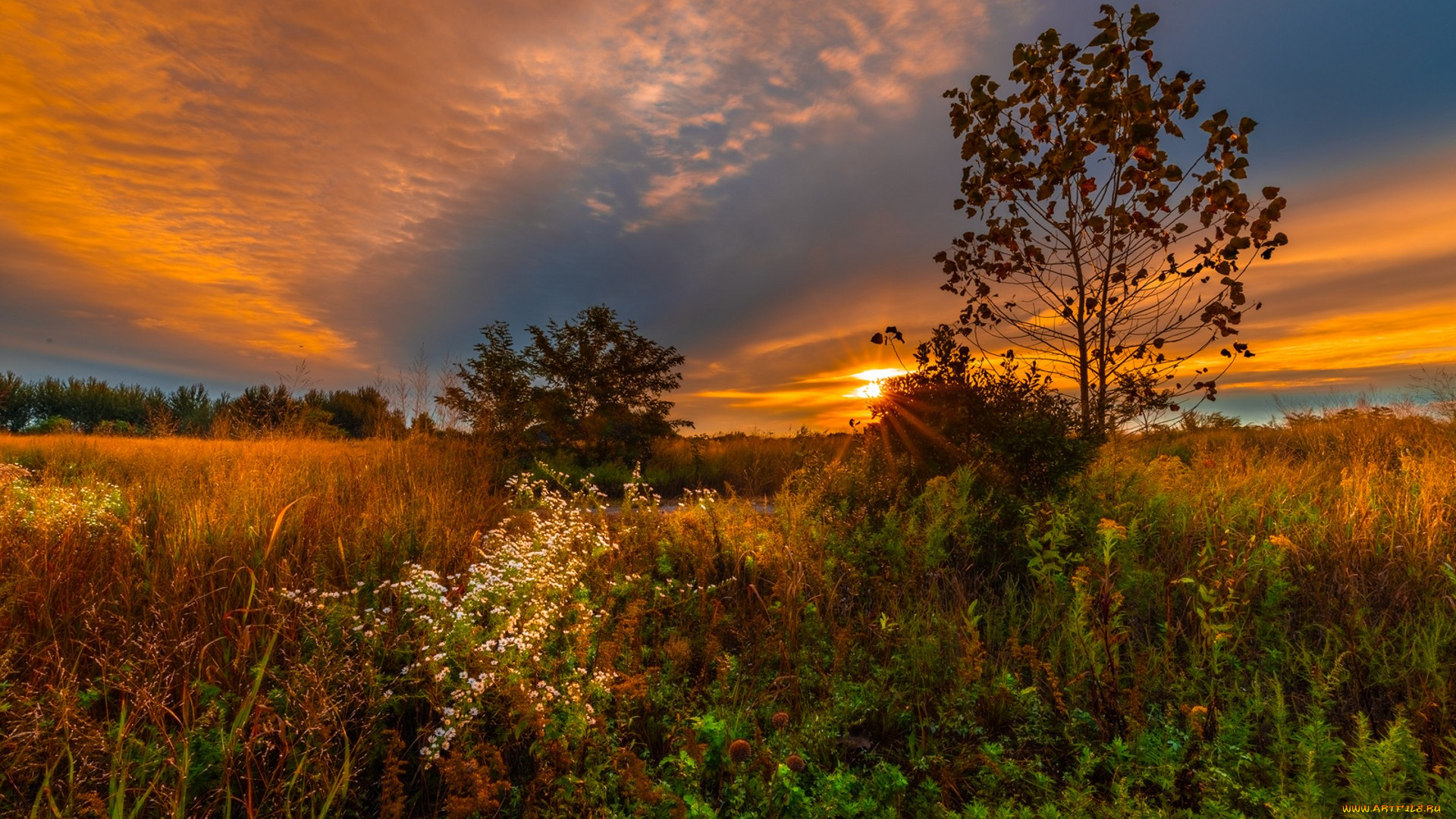 природа, пейзажи, простор