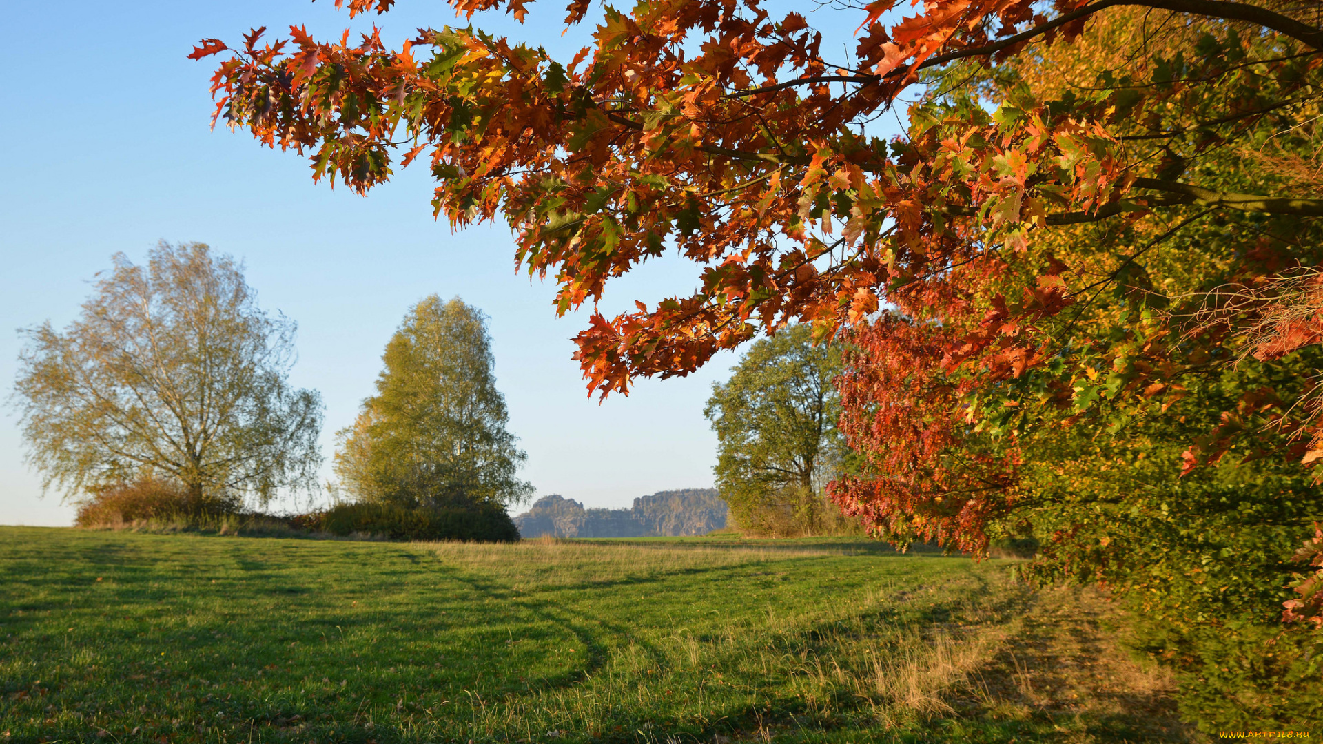 природа, пейзажи, простор