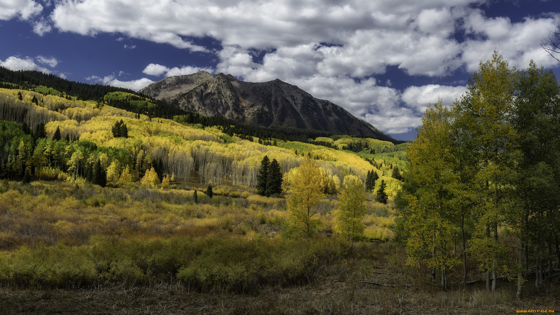 природа, пейзажи, простор