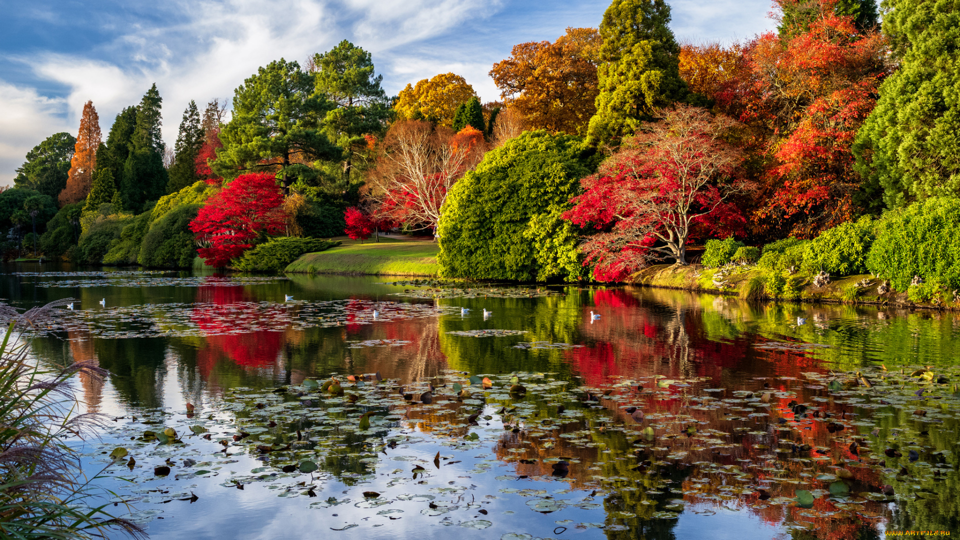 природа, реки, озера, простор