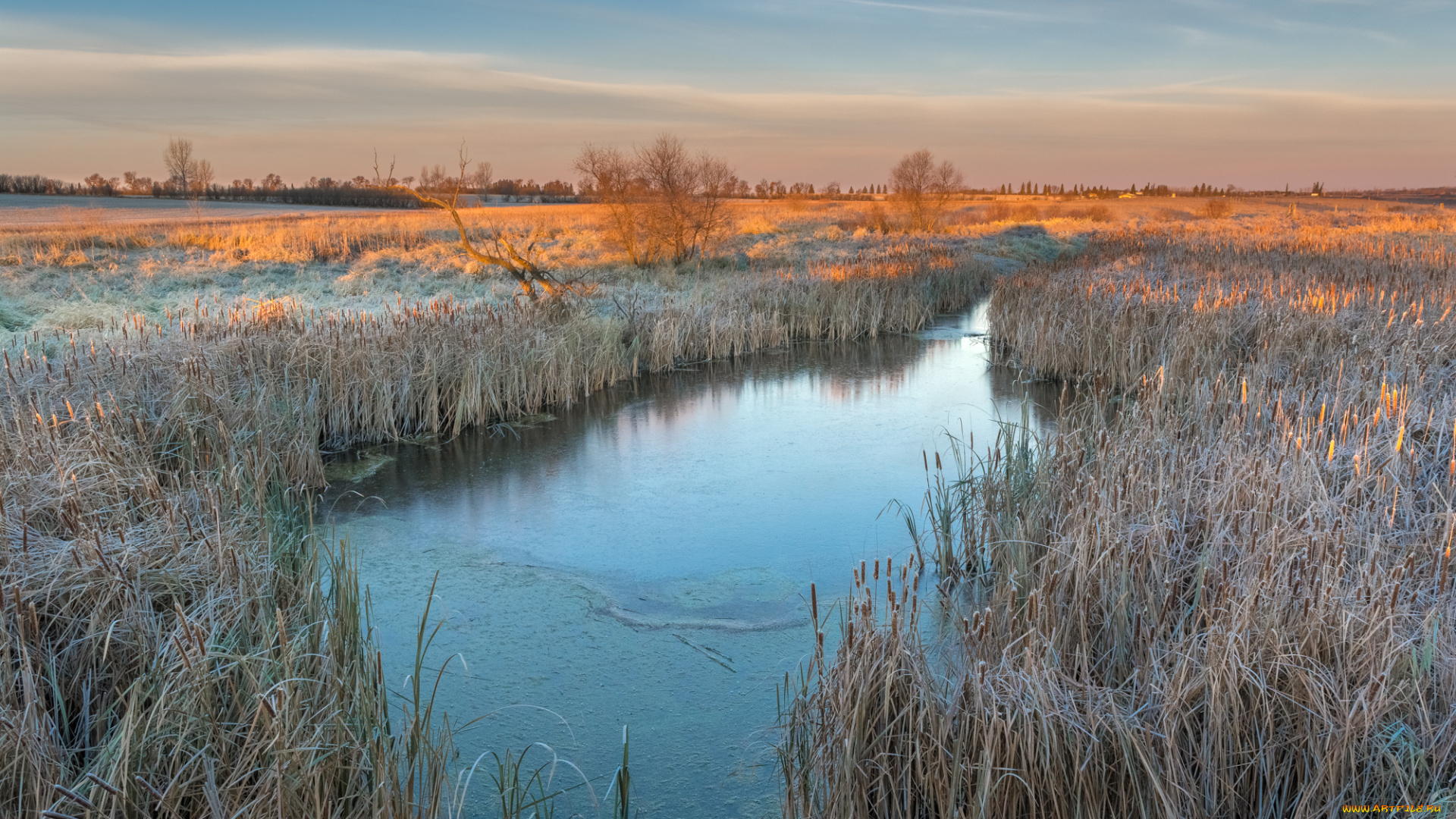 природа, реки, озера, простор
