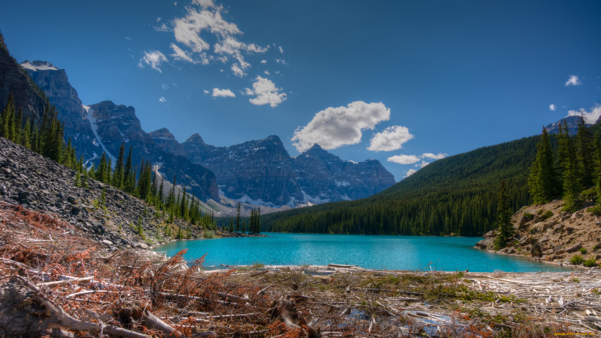 природа, реки, озера, простор