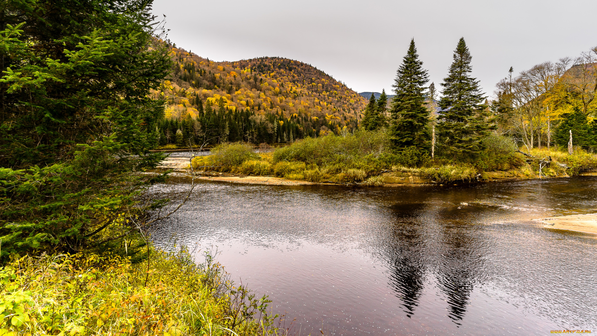 природа, реки, озера, простор