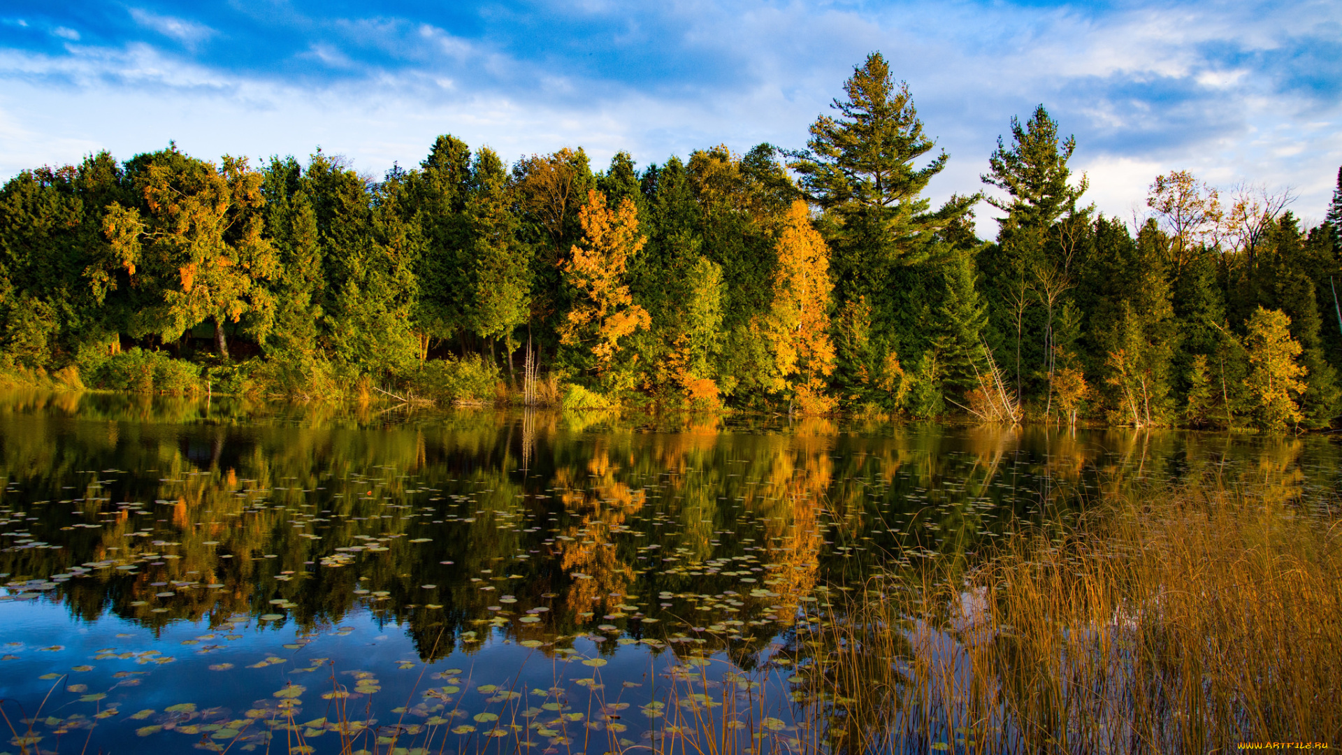 природа, реки, озера, простор