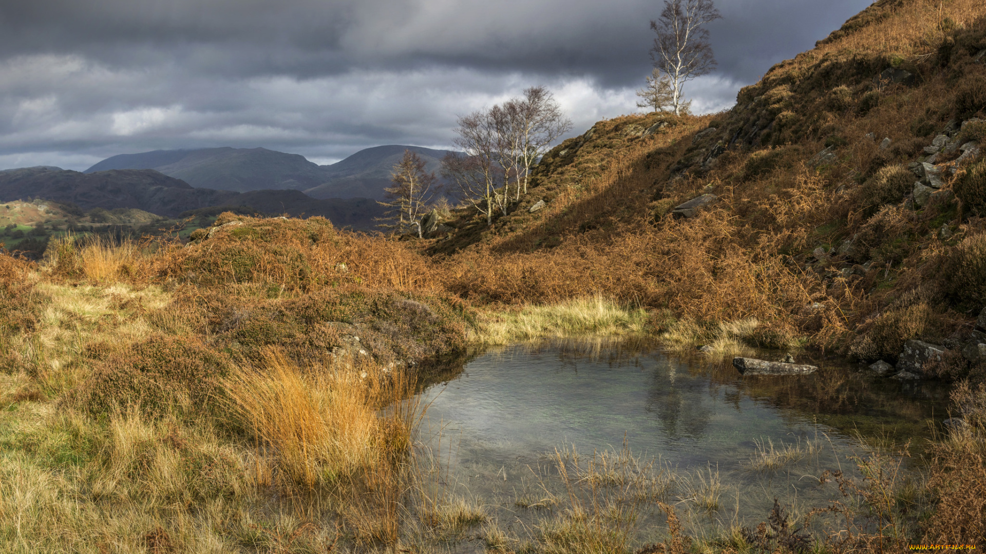 природа, реки, озера, простор