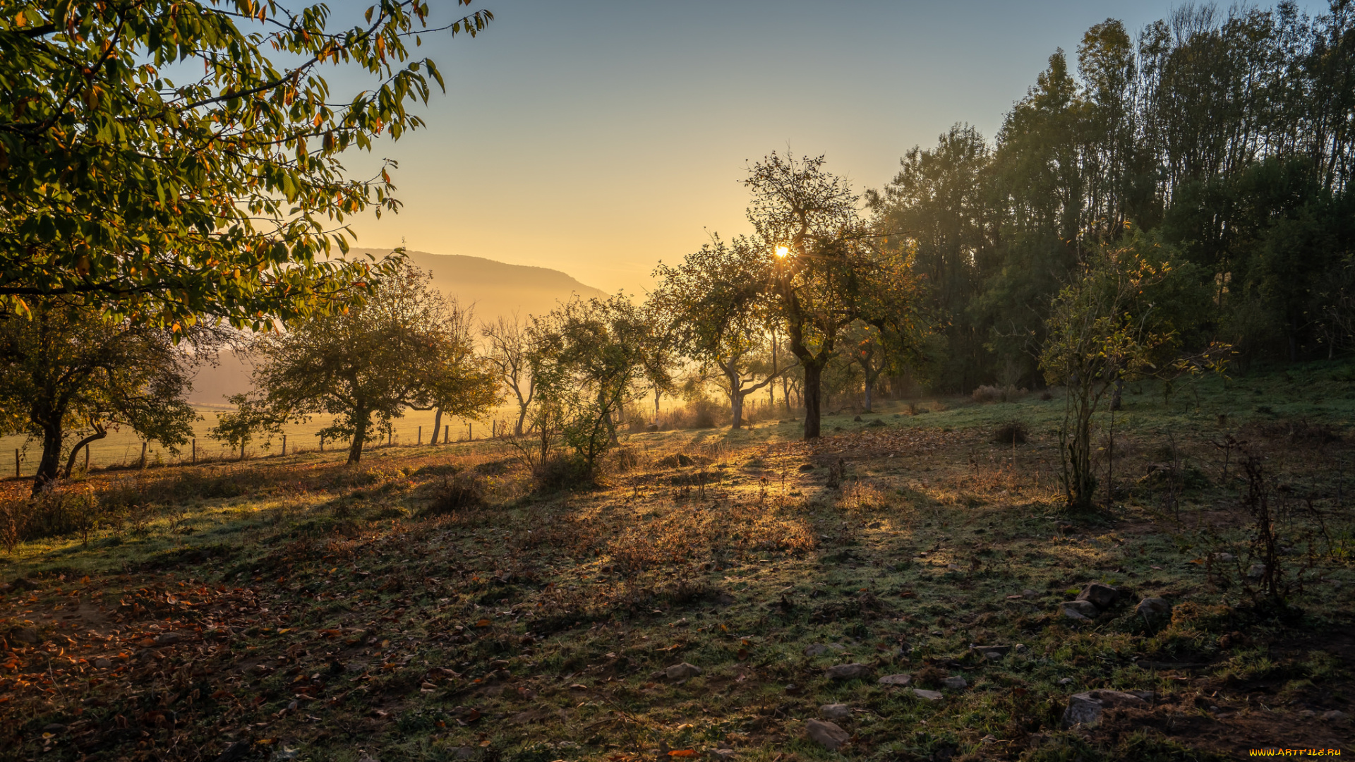 природа, восходы, закаты, простор