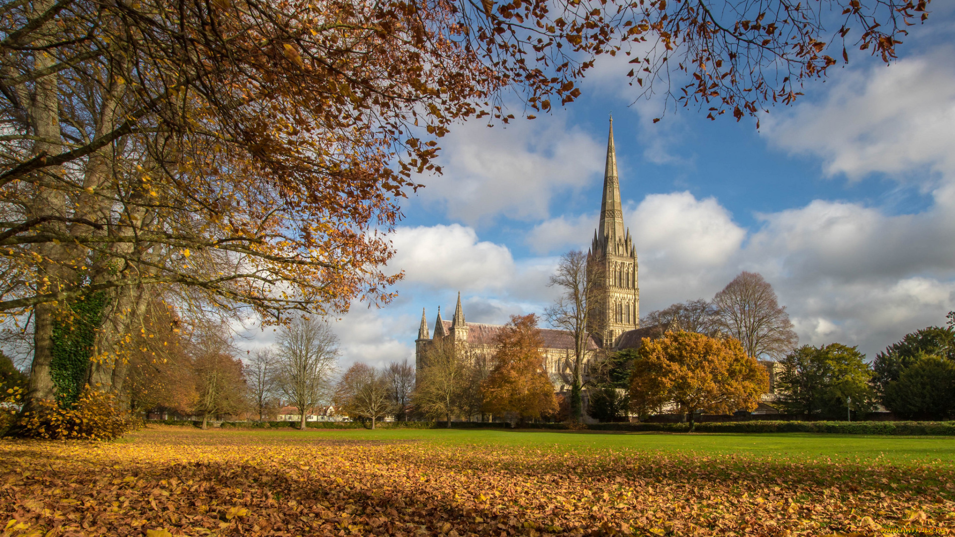 salisbury, cathedral, города, -, католические, соборы, , костелы, , аббатства, простор