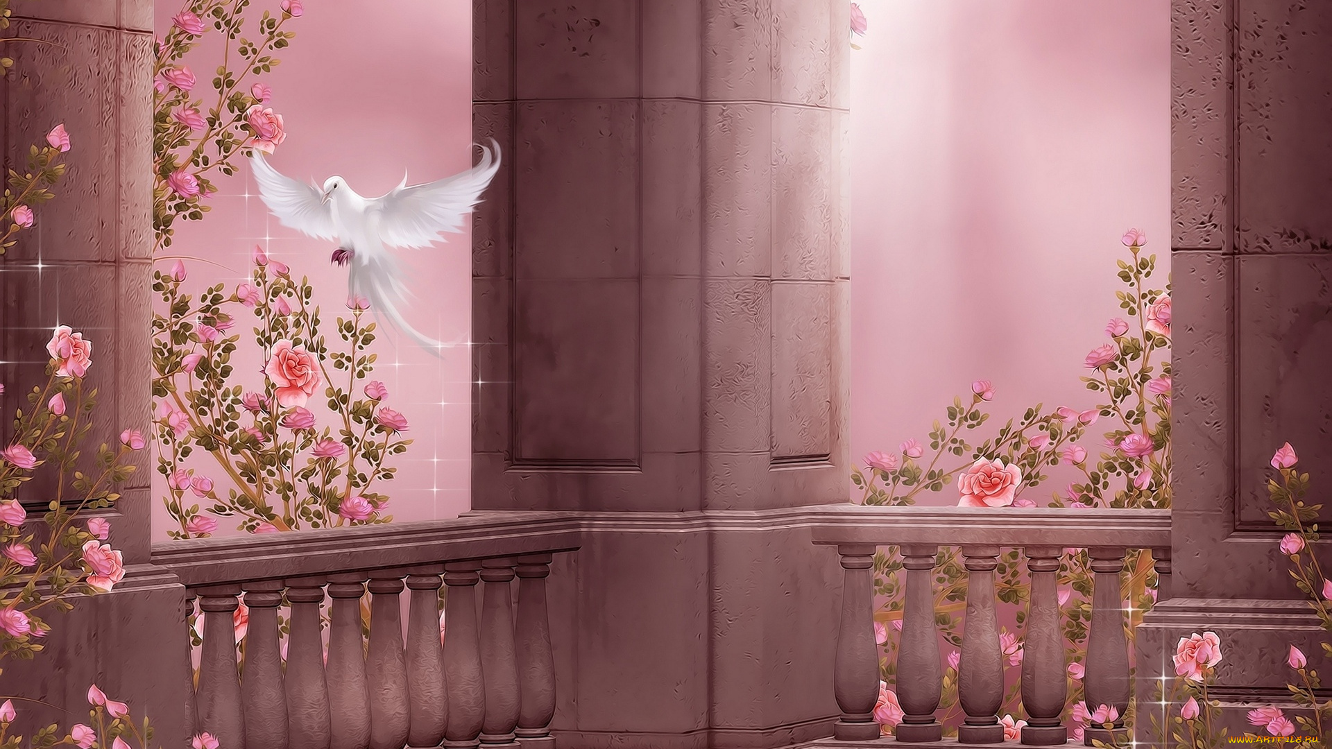 векторная, графика, животные, , animals, цветы, лепестки, голубь, фон