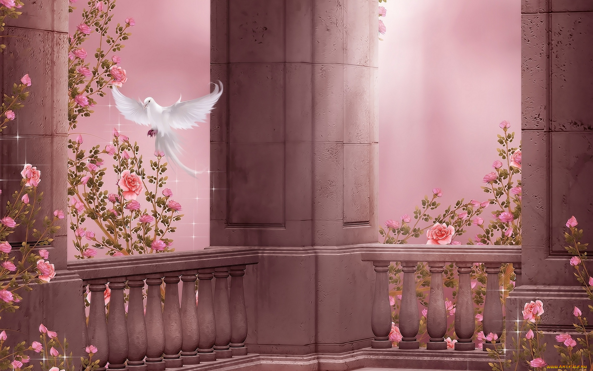 векторная, графика, животные, , animals, цветы, лепестки, голубь, фон