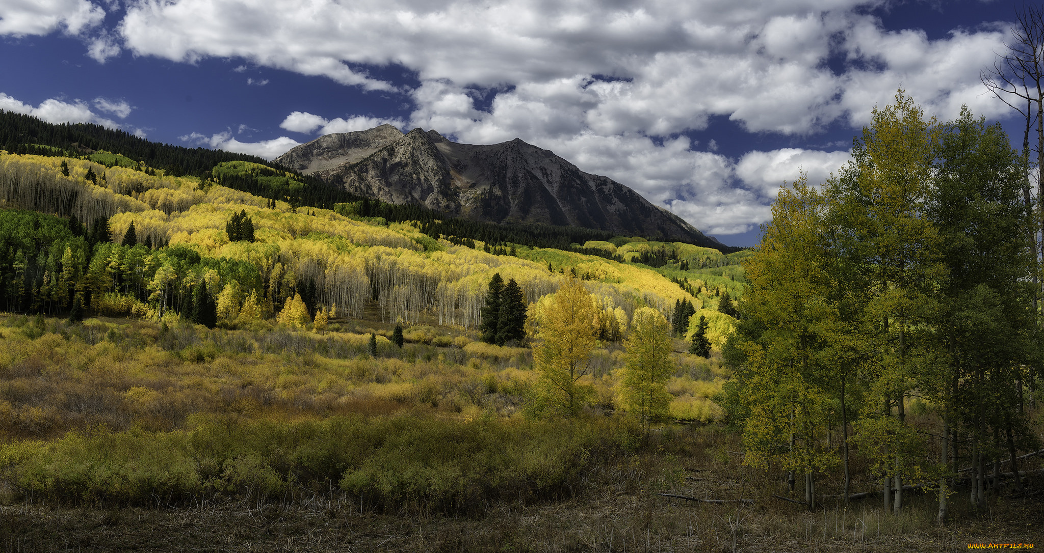 природа, пейзажи, простор