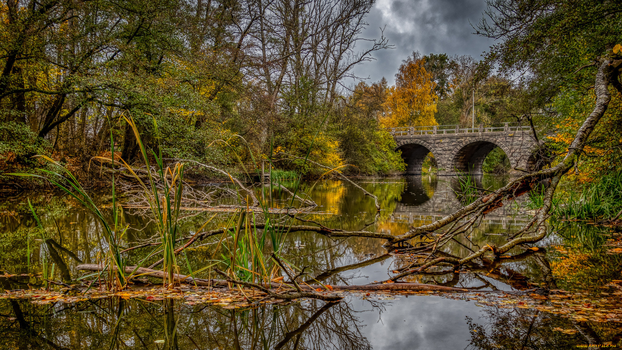 природа, реки, озера, простор