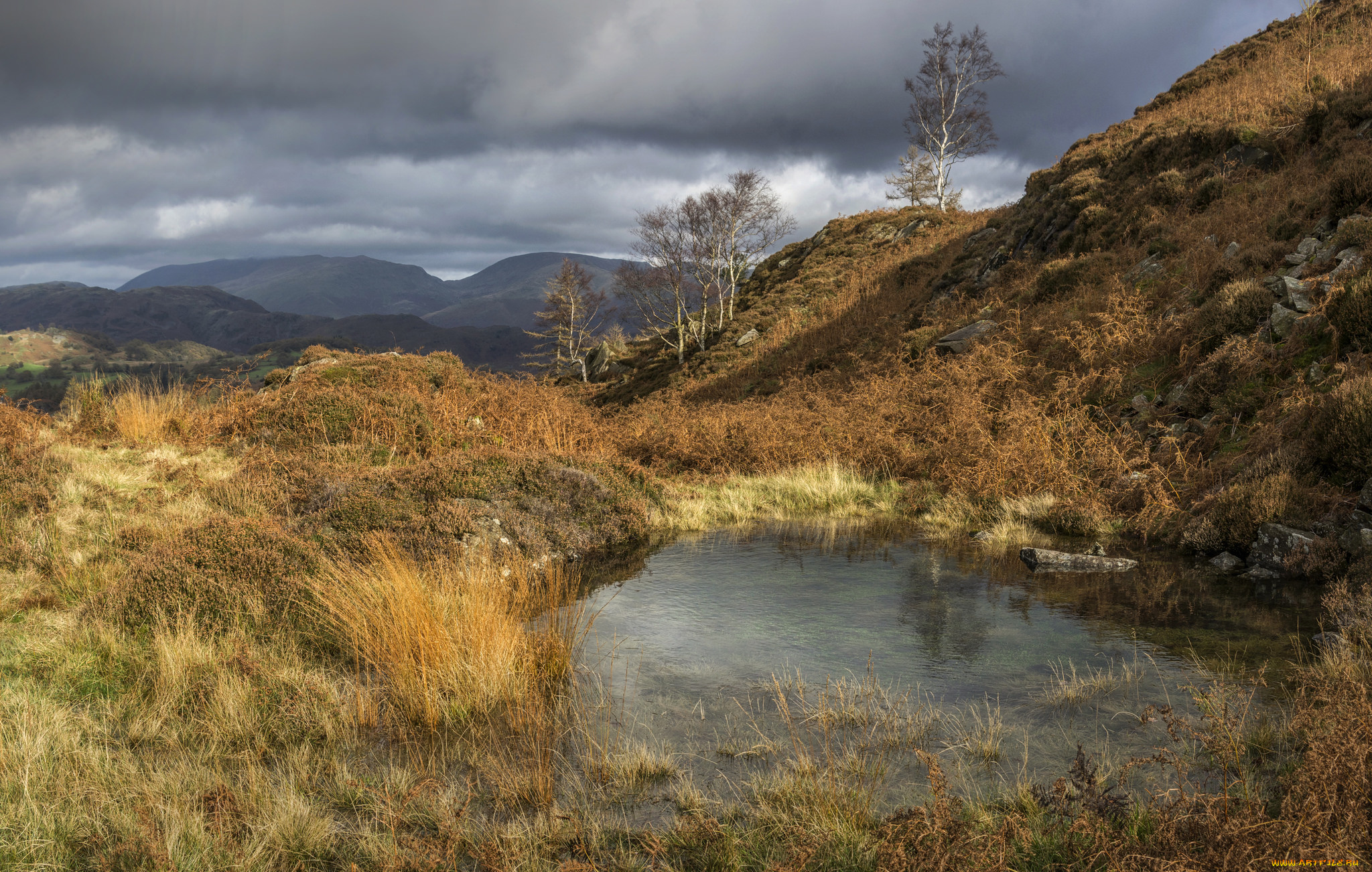 природа, реки, озера, простор