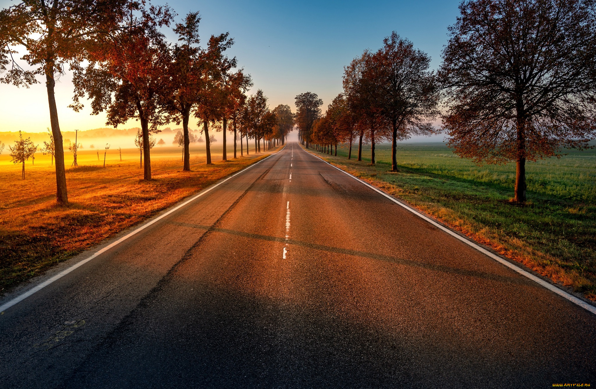 природа, дороги, простор