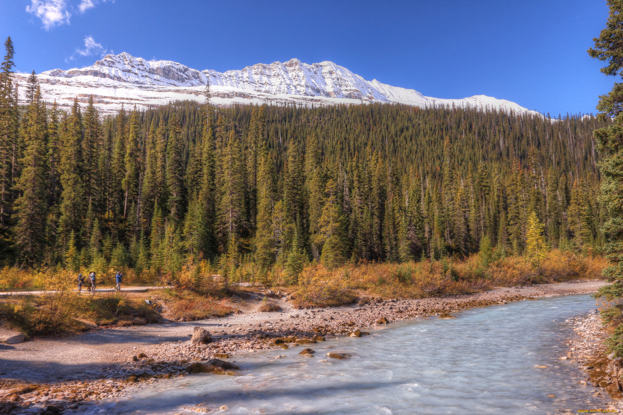 природа, реки, озера, простор