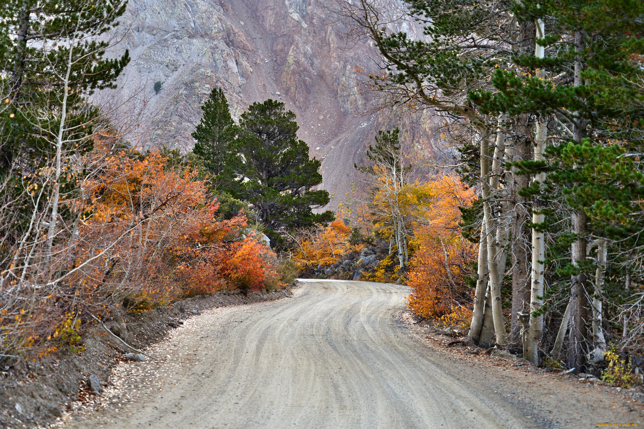 природа, дороги, простор