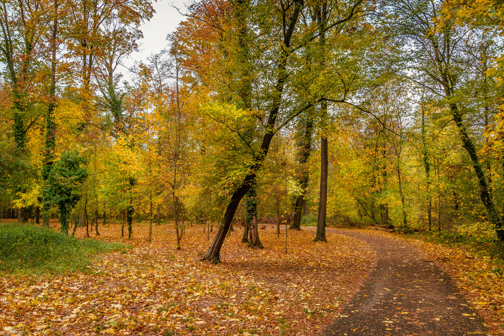 природа, дороги, простор