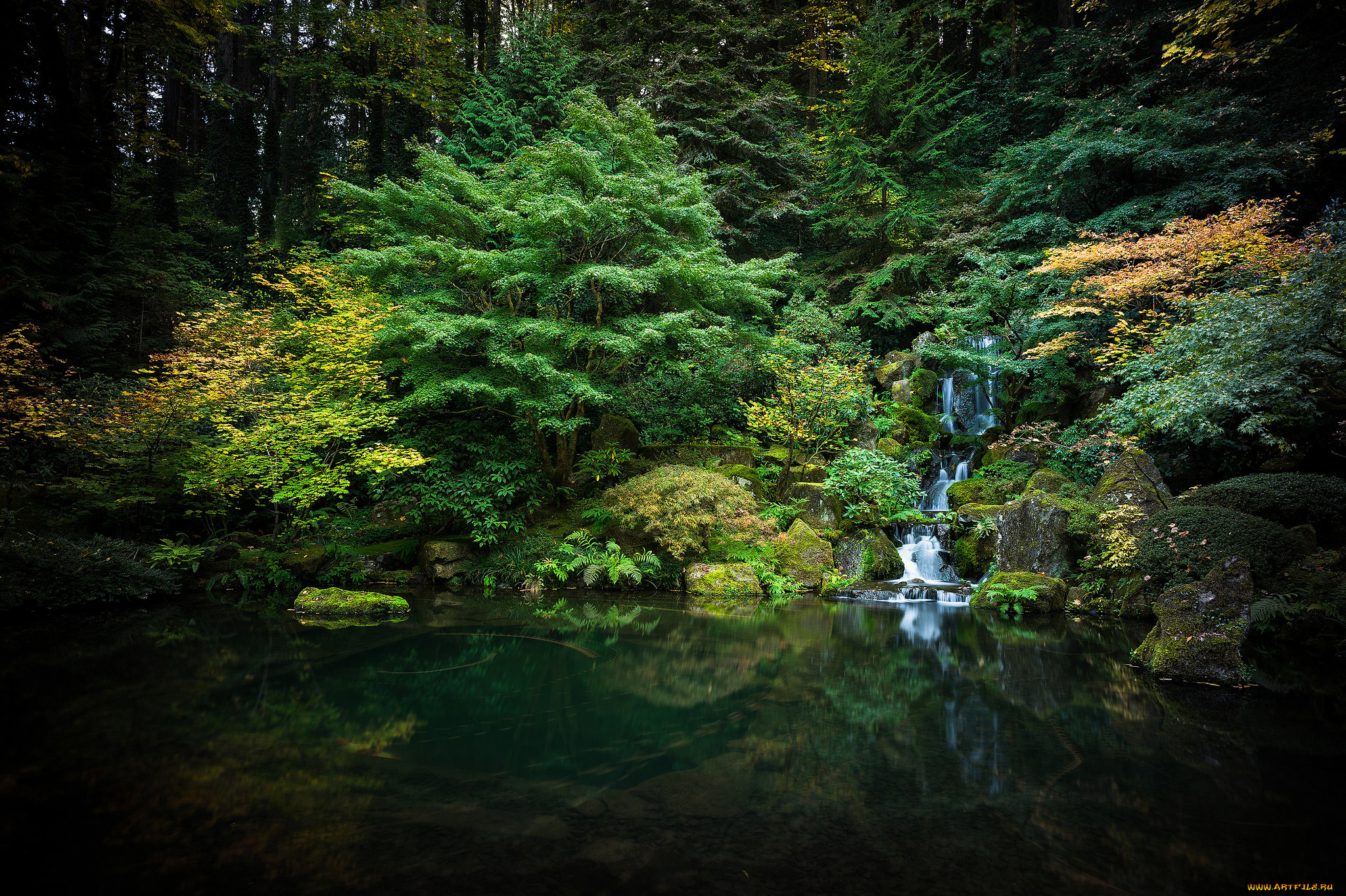 природа, лес, простор