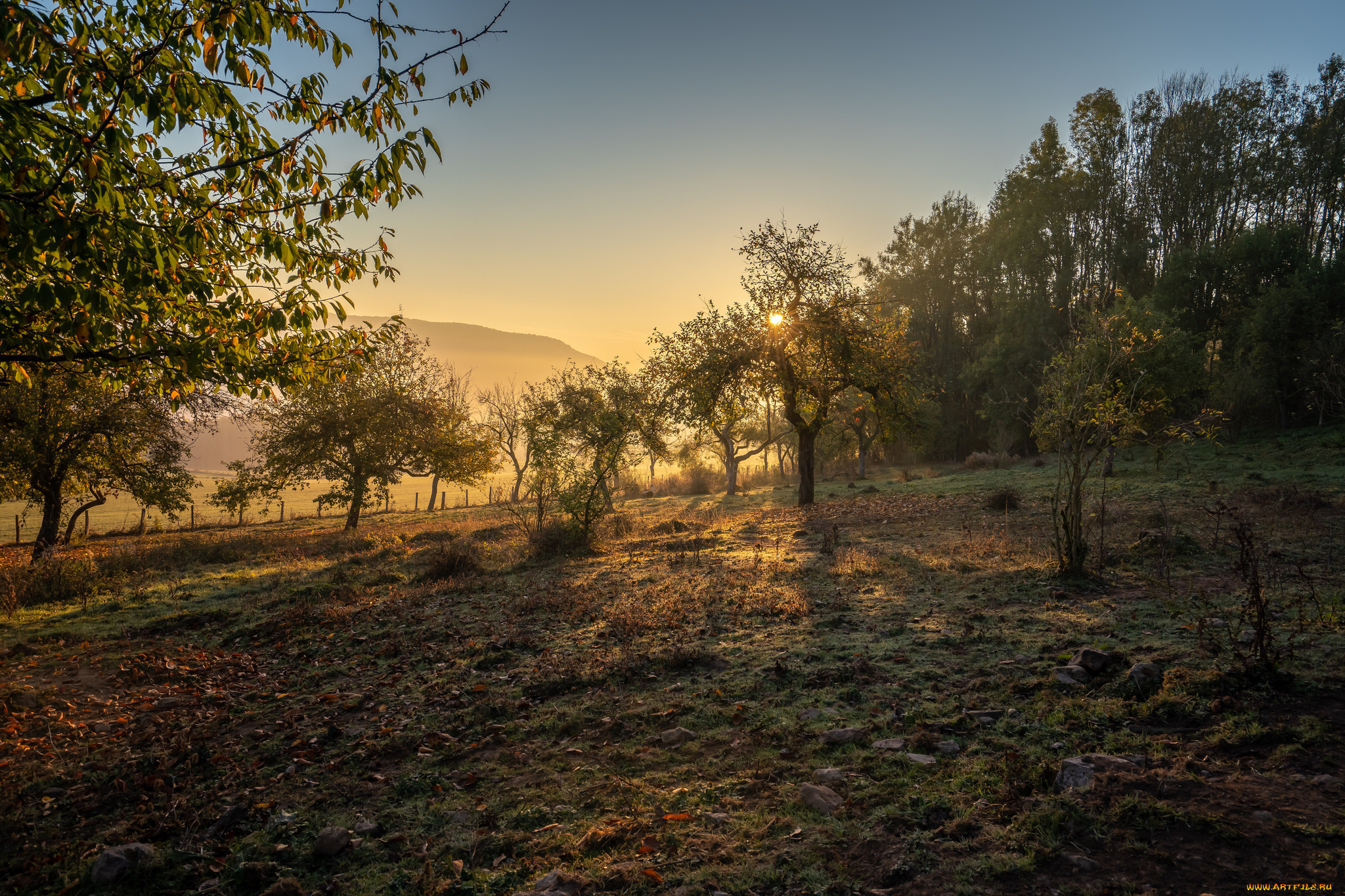 природа, восходы, закаты, простор
