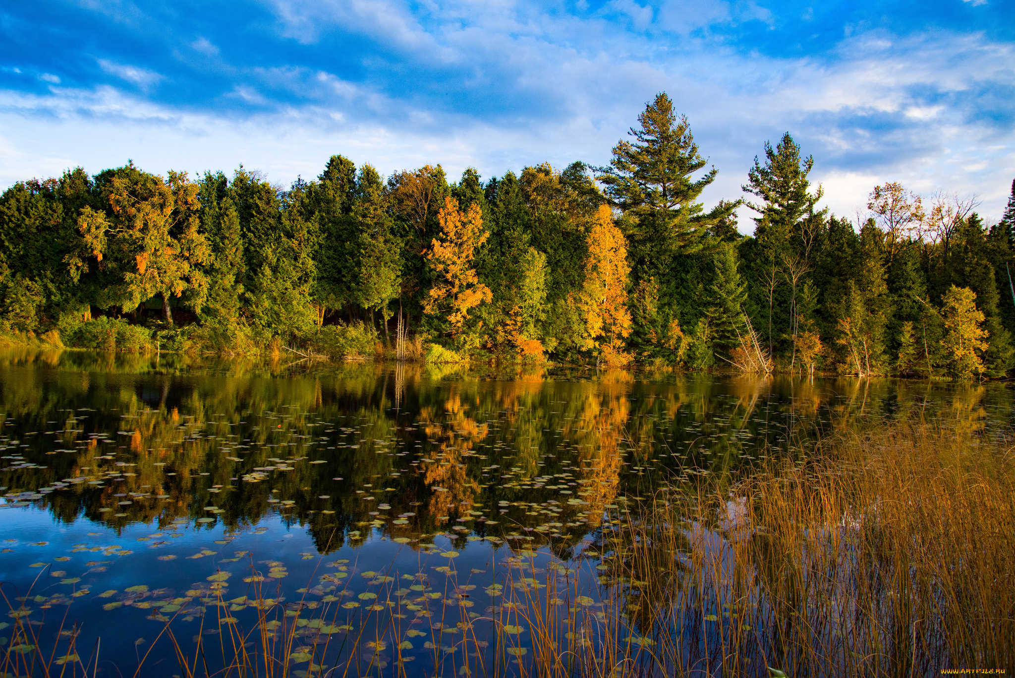 природа, реки, озера, простор