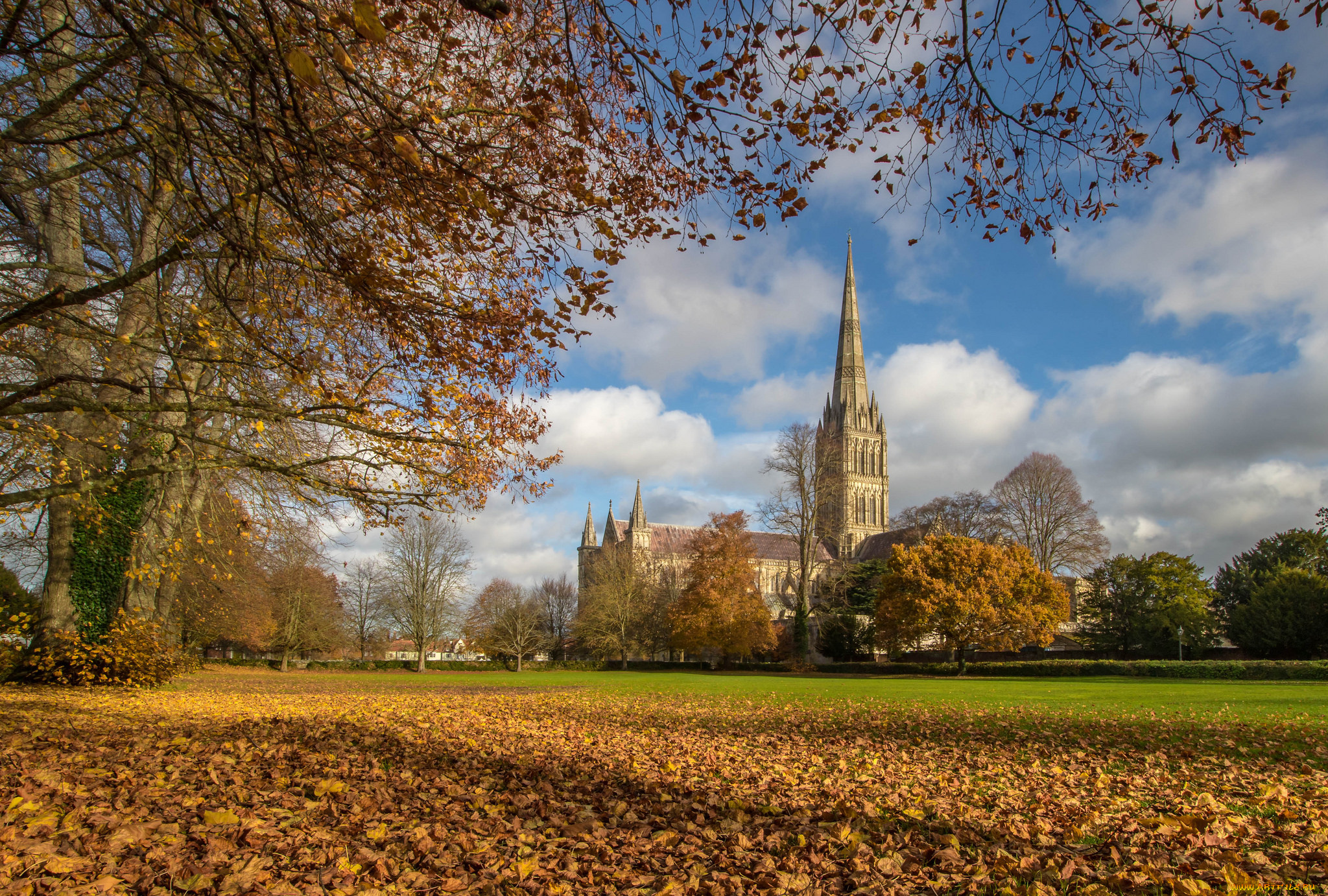 salisbury, cathedral, города, -, католические, соборы, , костелы, , аббатства, простор