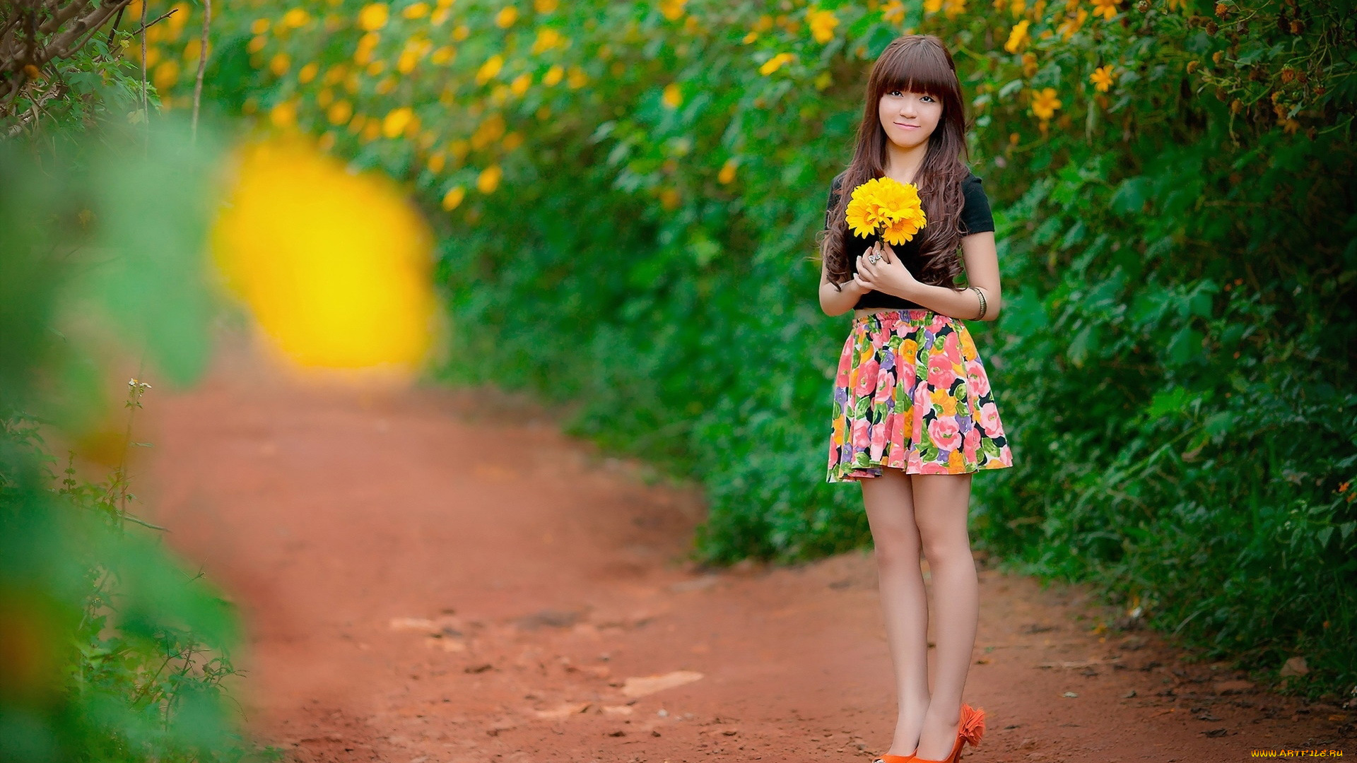 девушки, -, азиатки, цветы, мини, юбка