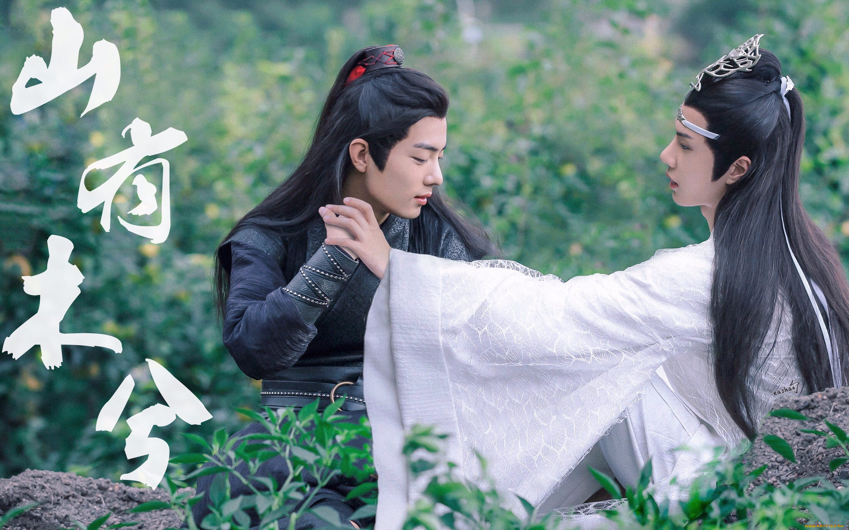 кино, фильмы, the, untamed, вэй, усянь, лань, ванцзы, камни, кусты