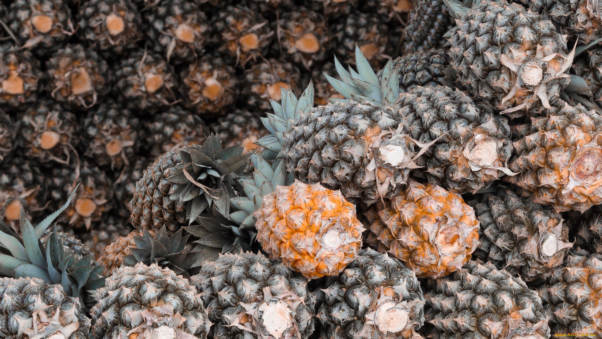 еда, ананас, экзотический, фрукт