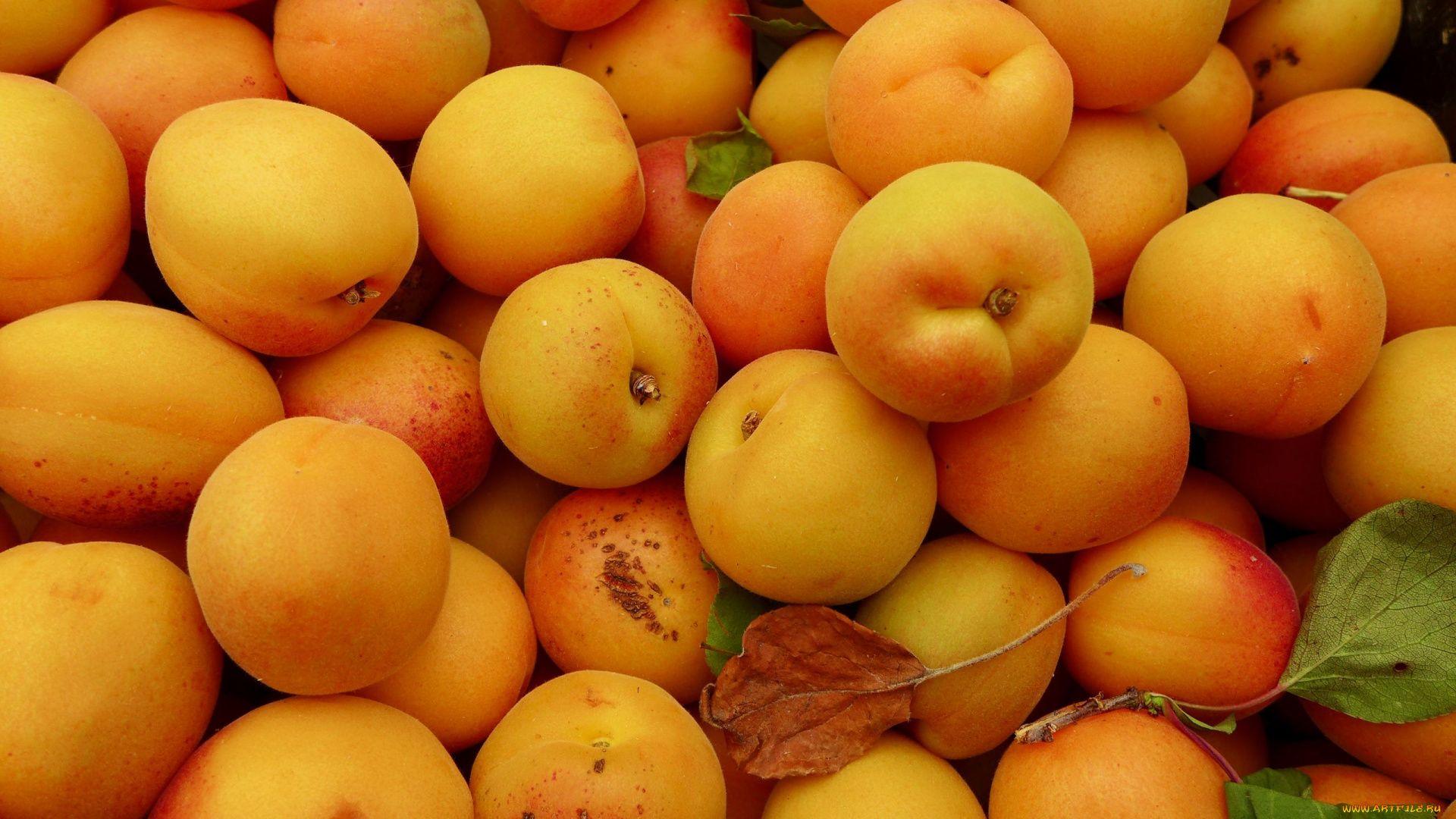 еда, персики, , сливы, , абрикосы, абрикосы