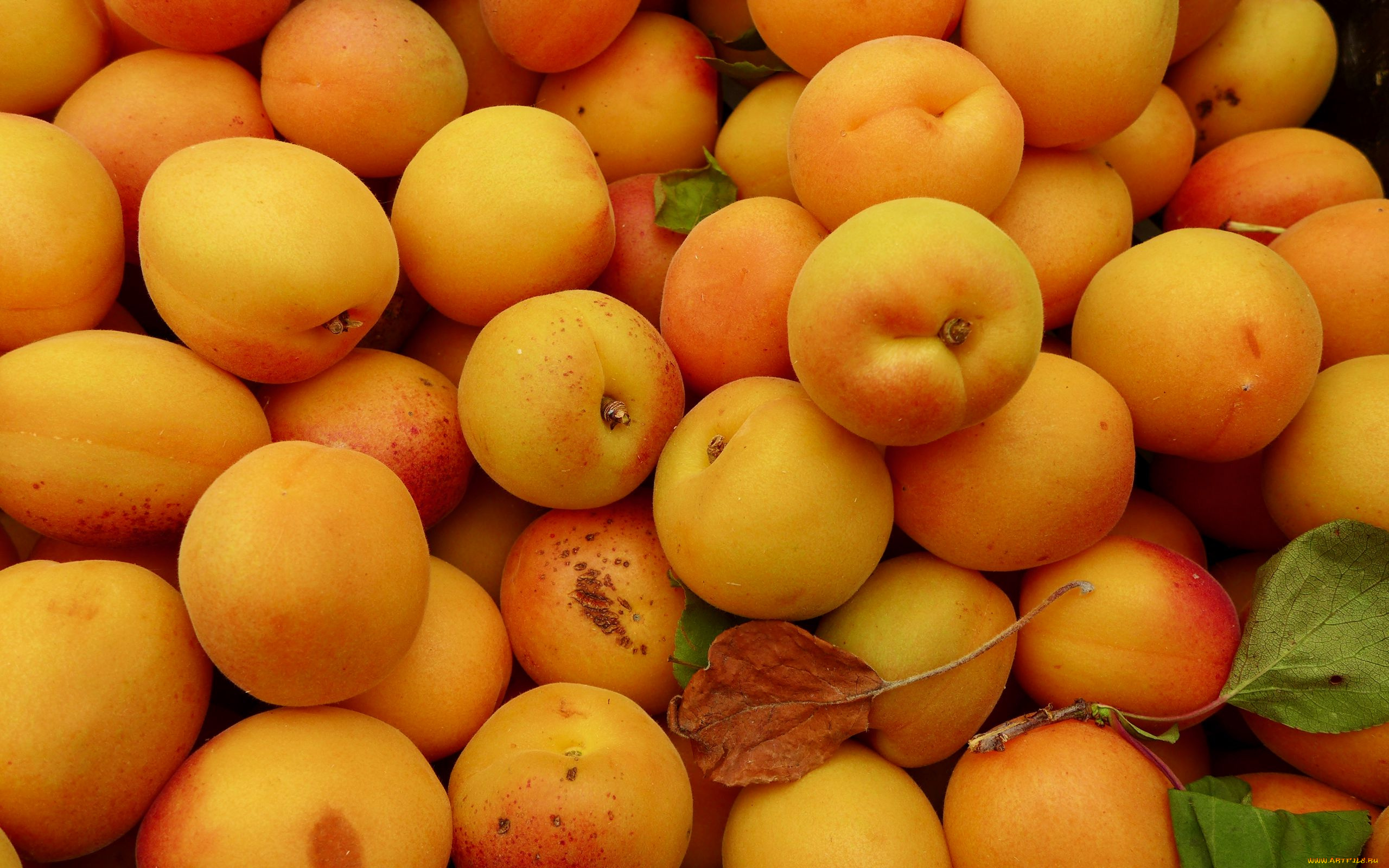 еда, персики, , сливы, , абрикосы, абрикосы
