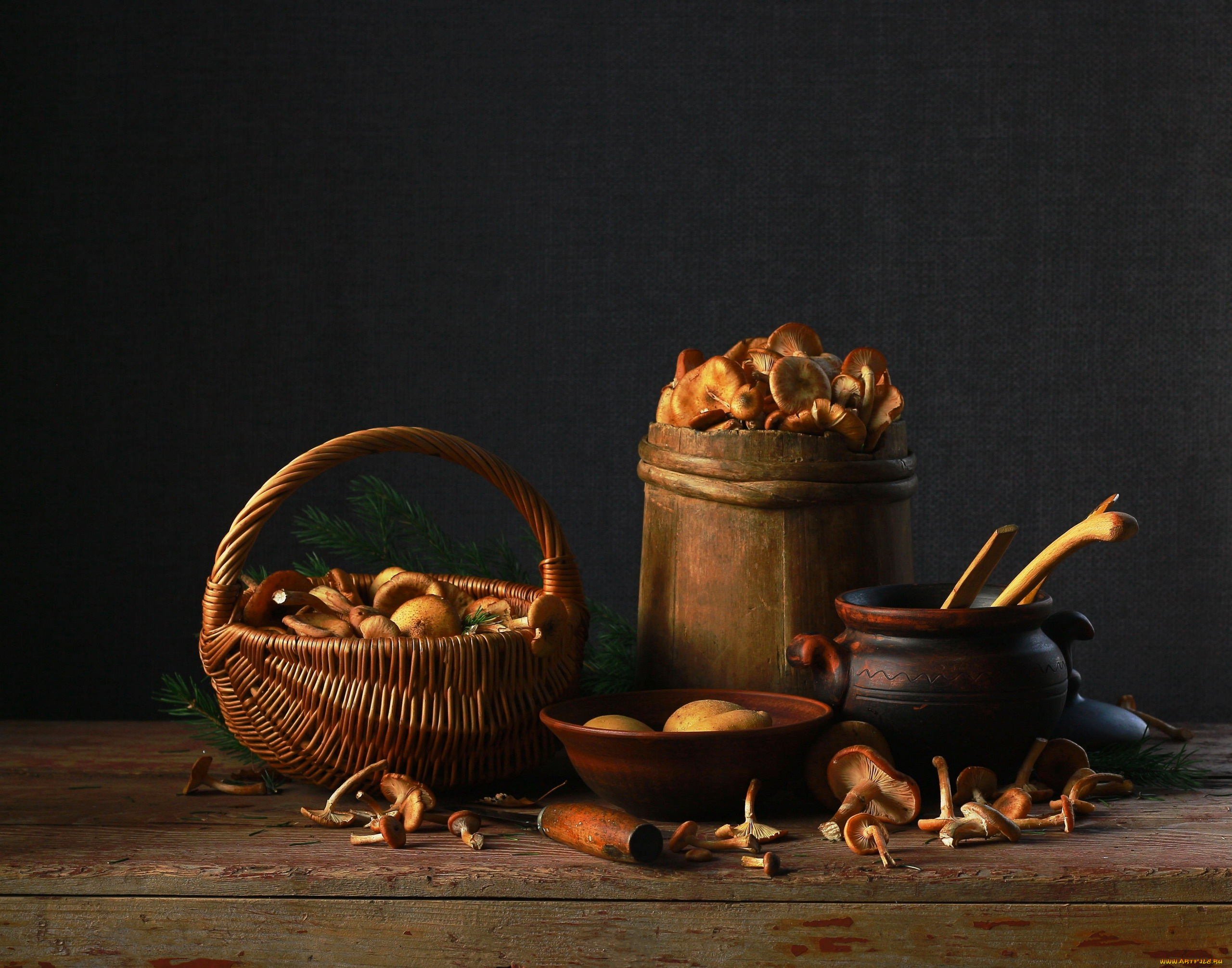 еда, грибы, , грибные, блюда, корзинка, горшок