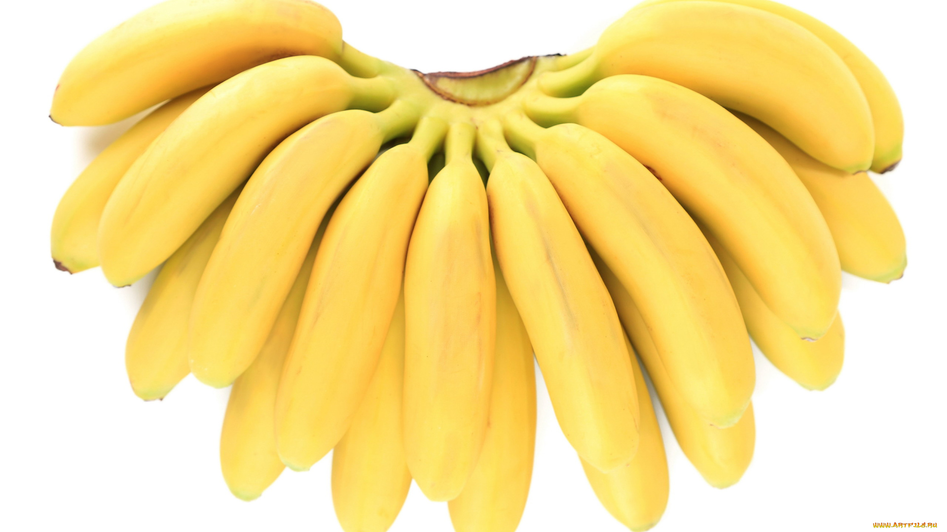 еда, бананы, желтые, спелые, связка