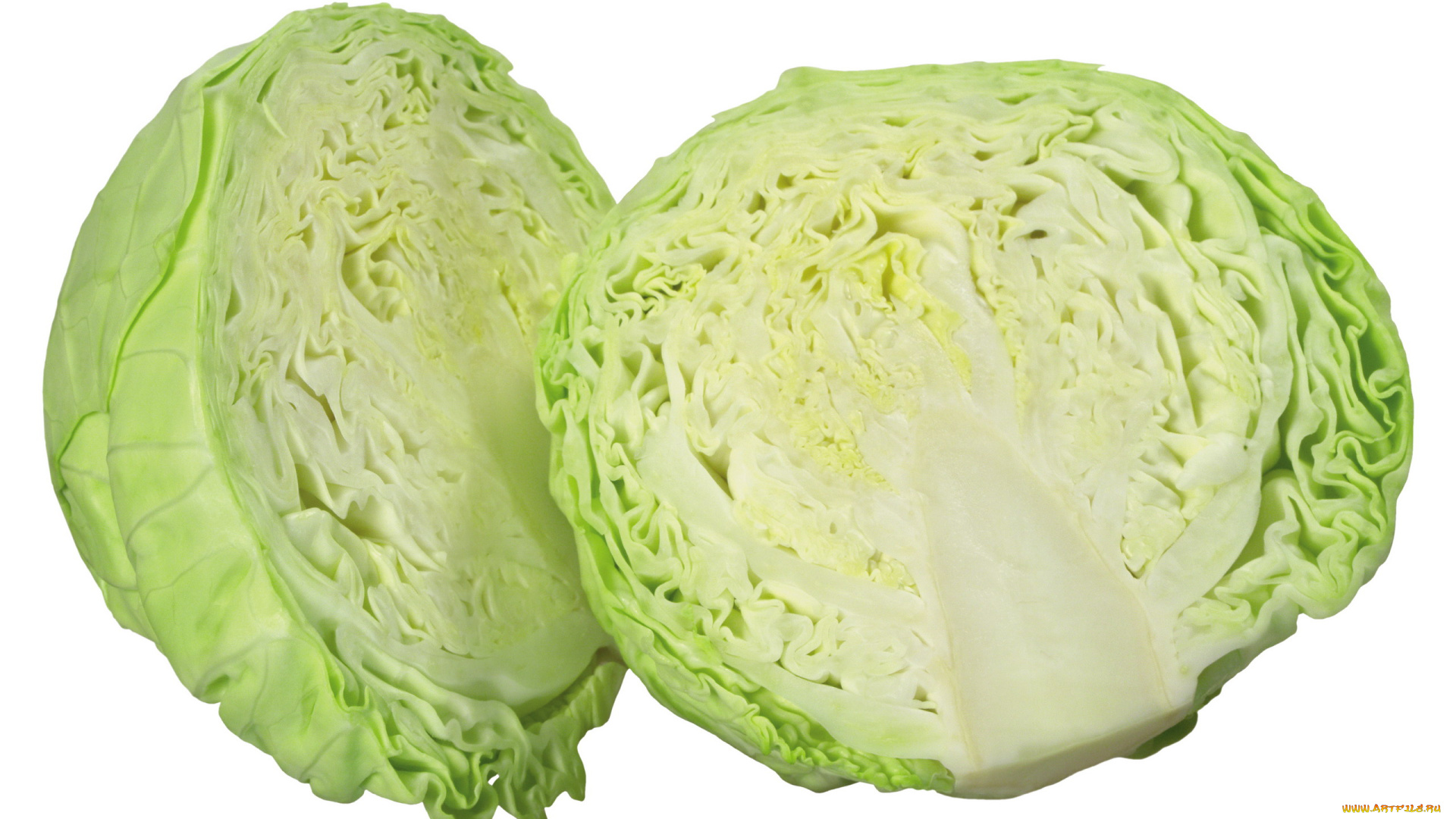 еда, капуста, и, её, разновидности, белокочанная, капуста, кочан, половинки