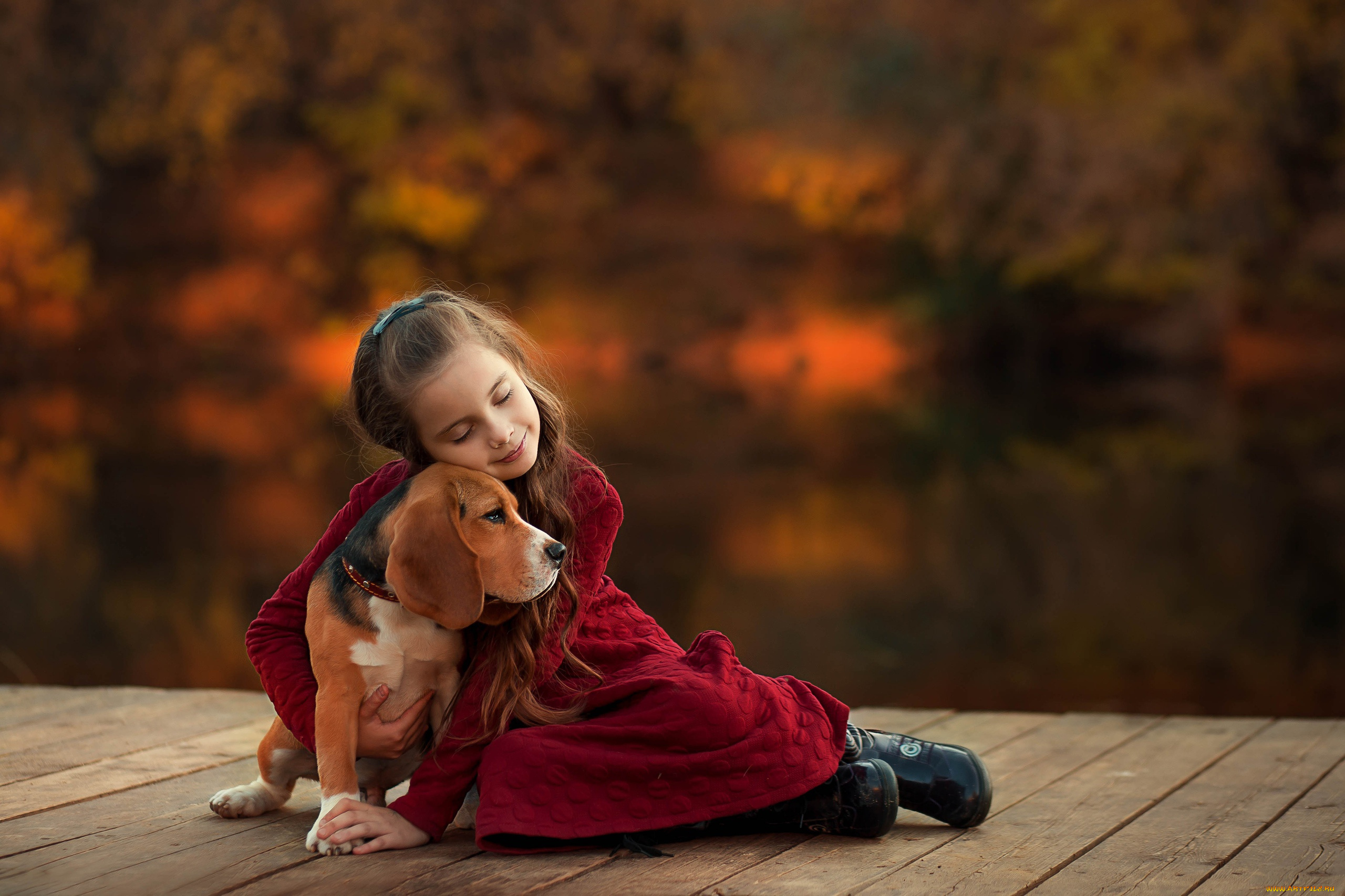 разное, дети, девочка, собака