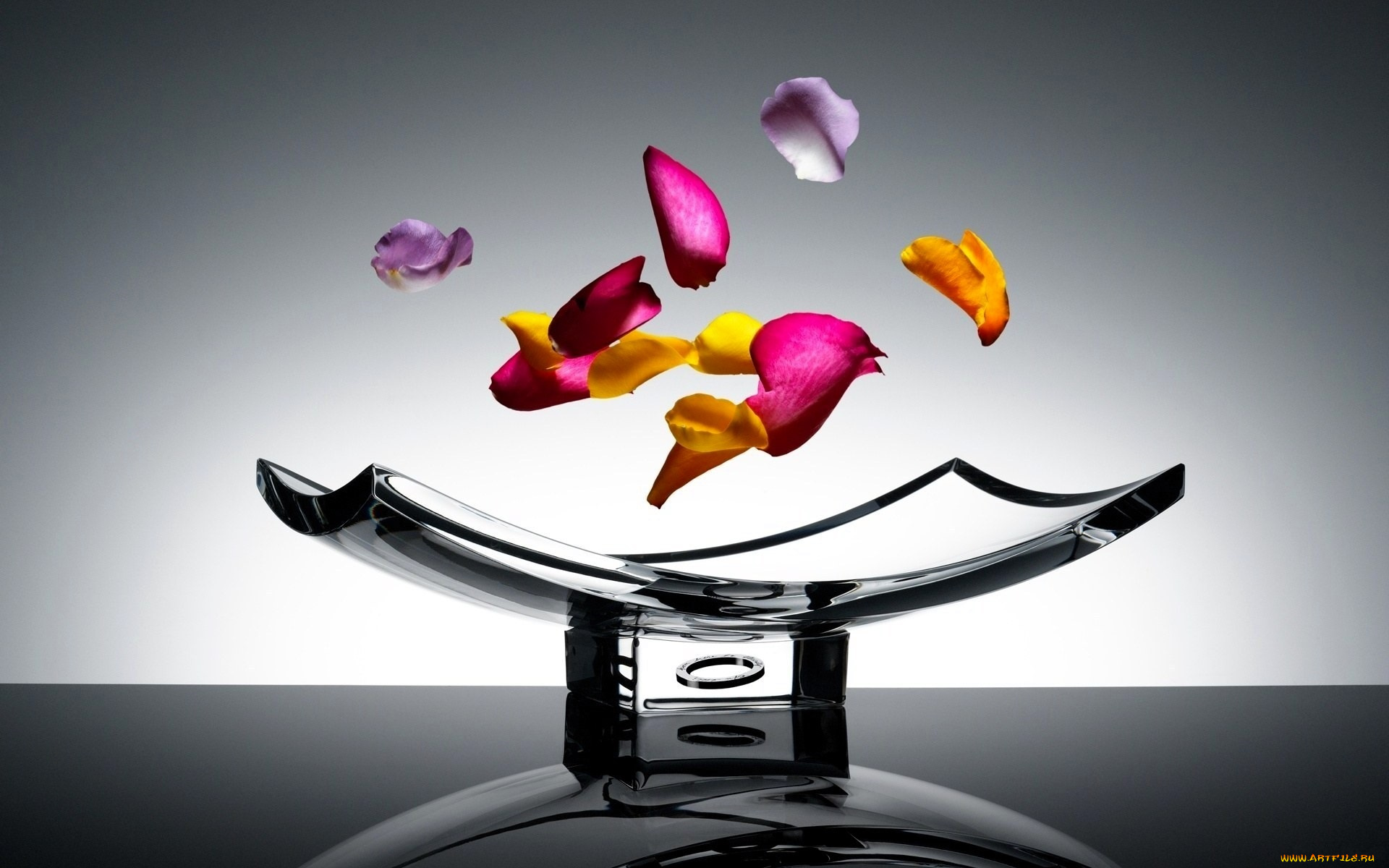 разное, -, другое, лепестки, ваза