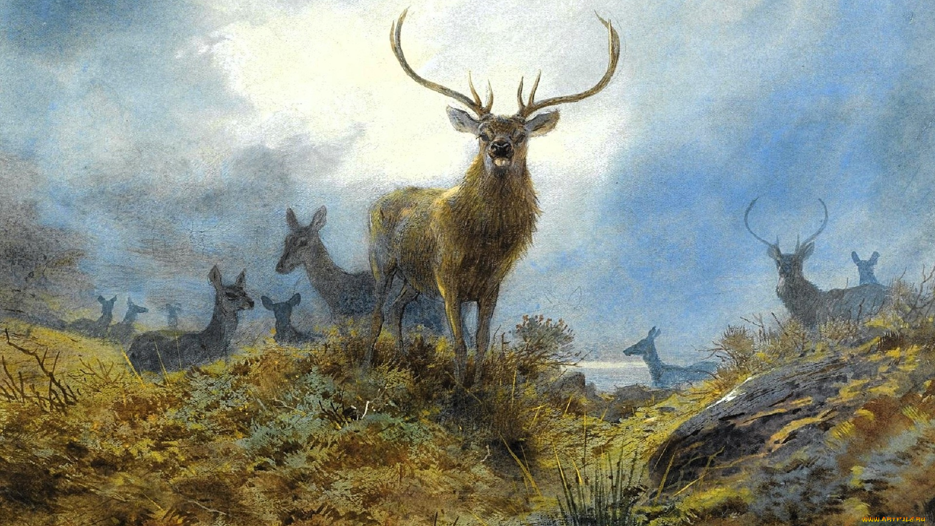 рисованное, archibald, thorburn, олени, стадо, туман, трава