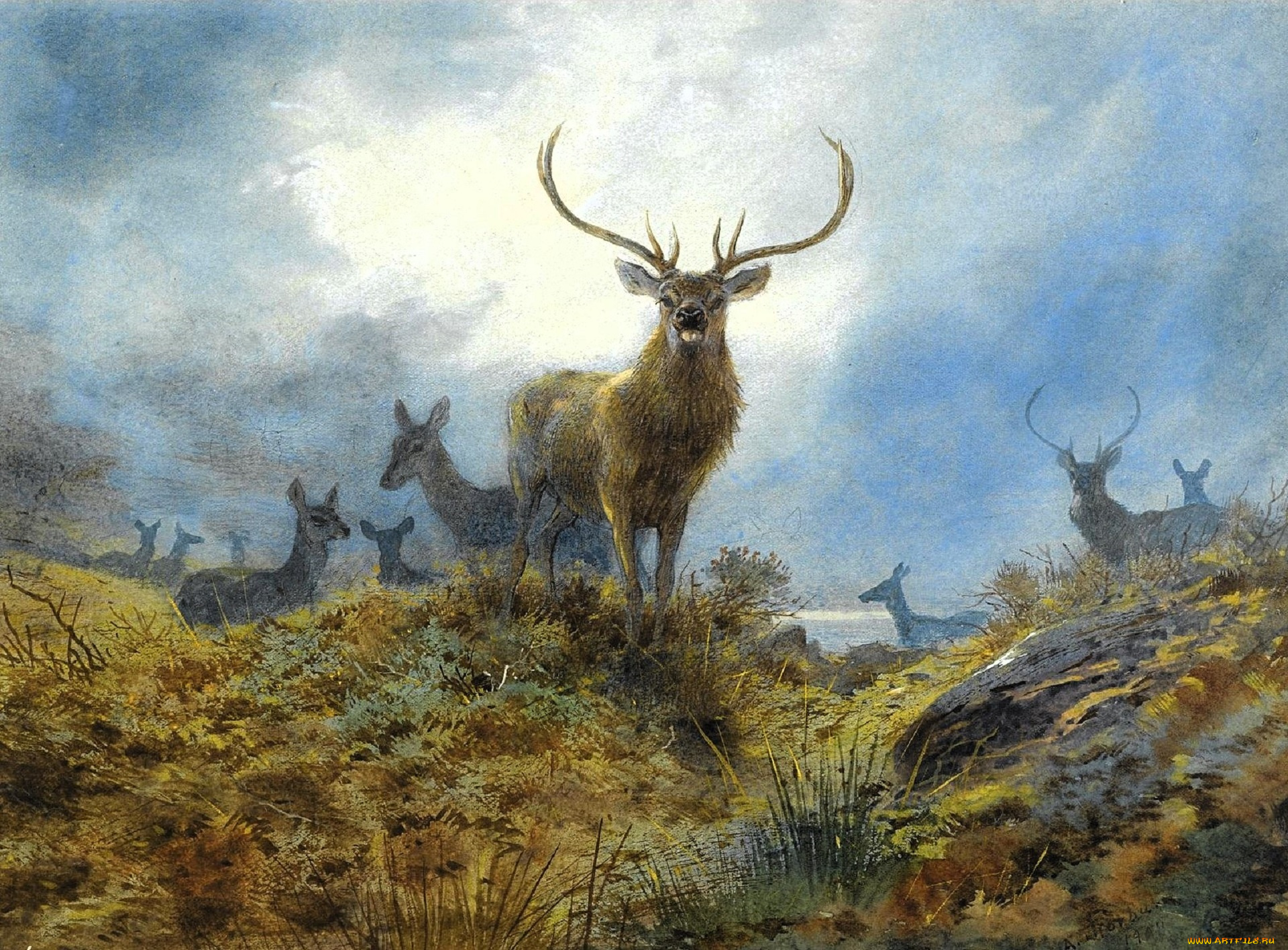 рисованное, archibald, thorburn, олени, стадо, туман, трава