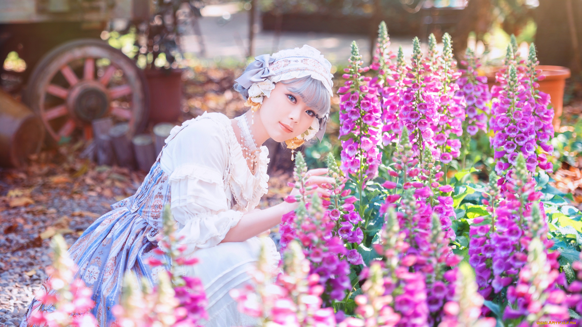 девушки, -, азиатки, девушка