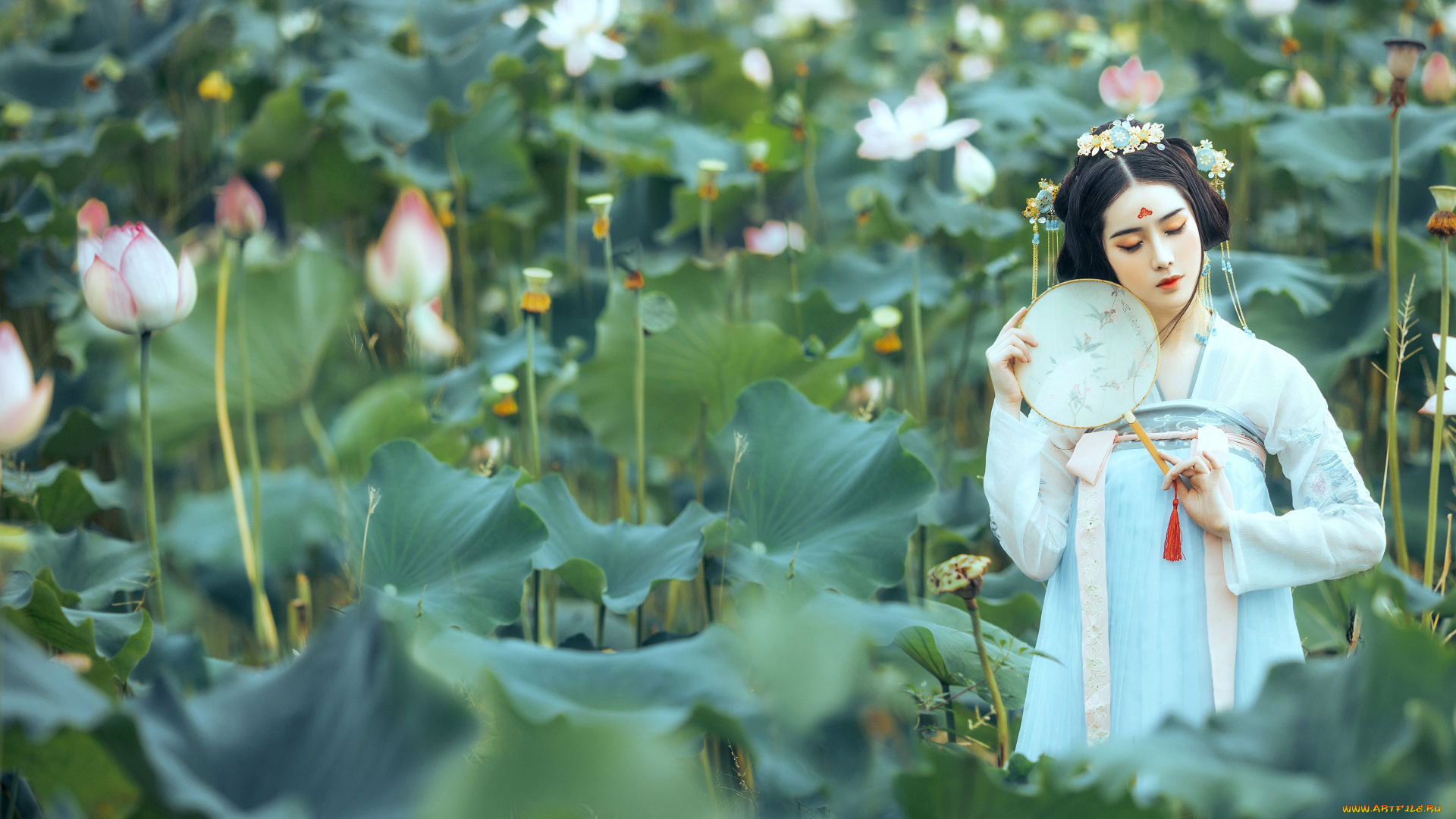 девушки, -, азиатки, девушка