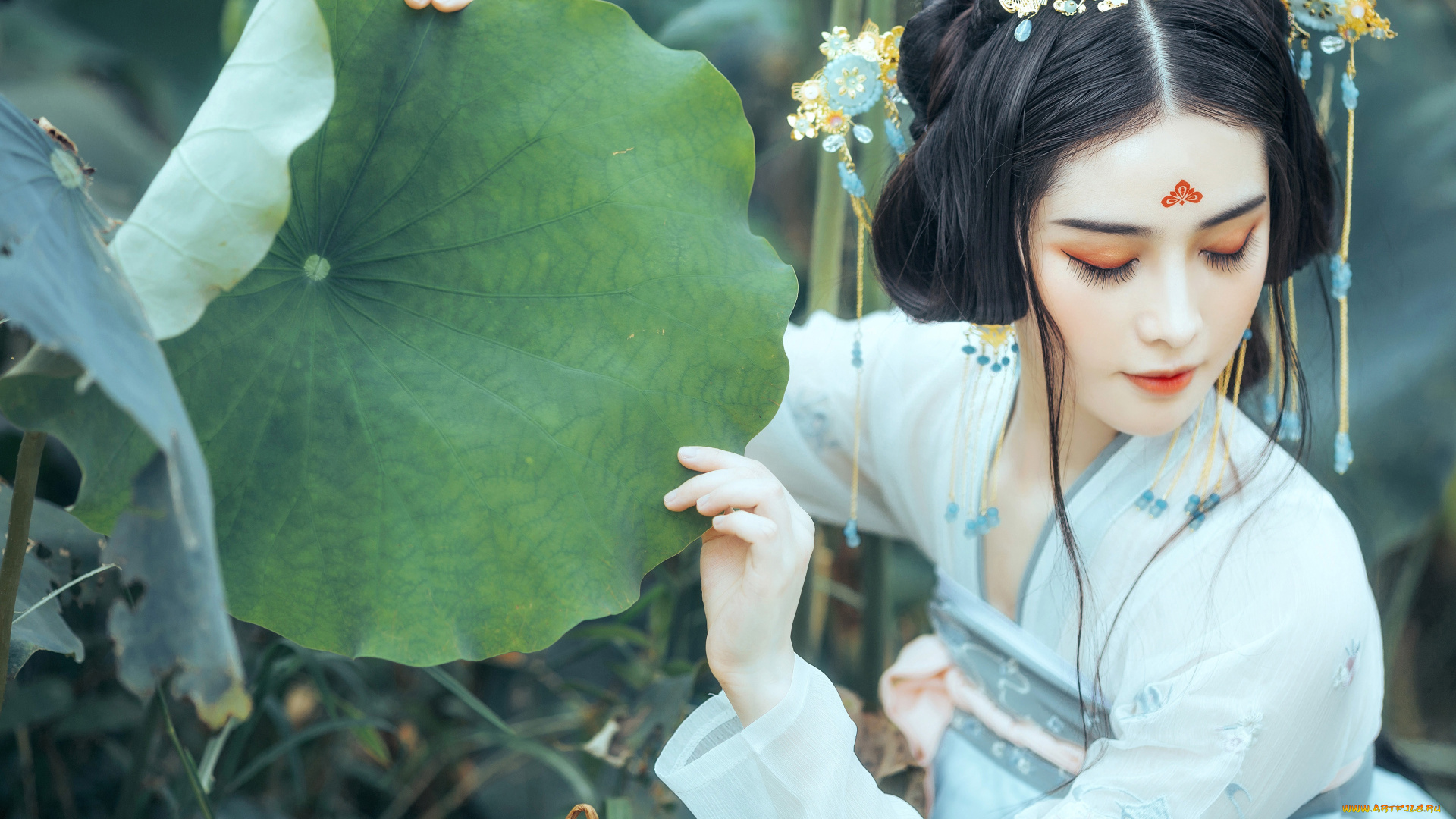 девушки, -, азиатки, девушка