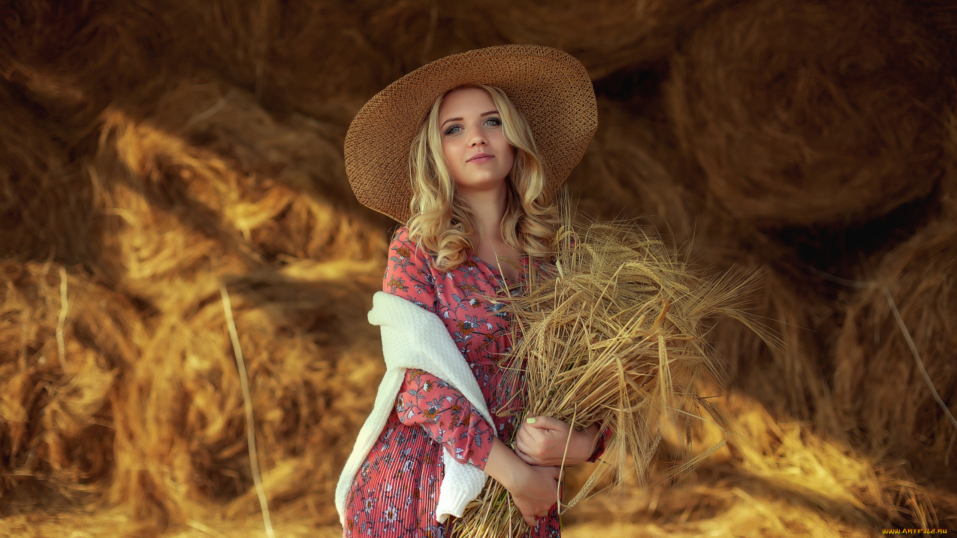 девушки, -, блондинки, , светловолосые, девушка