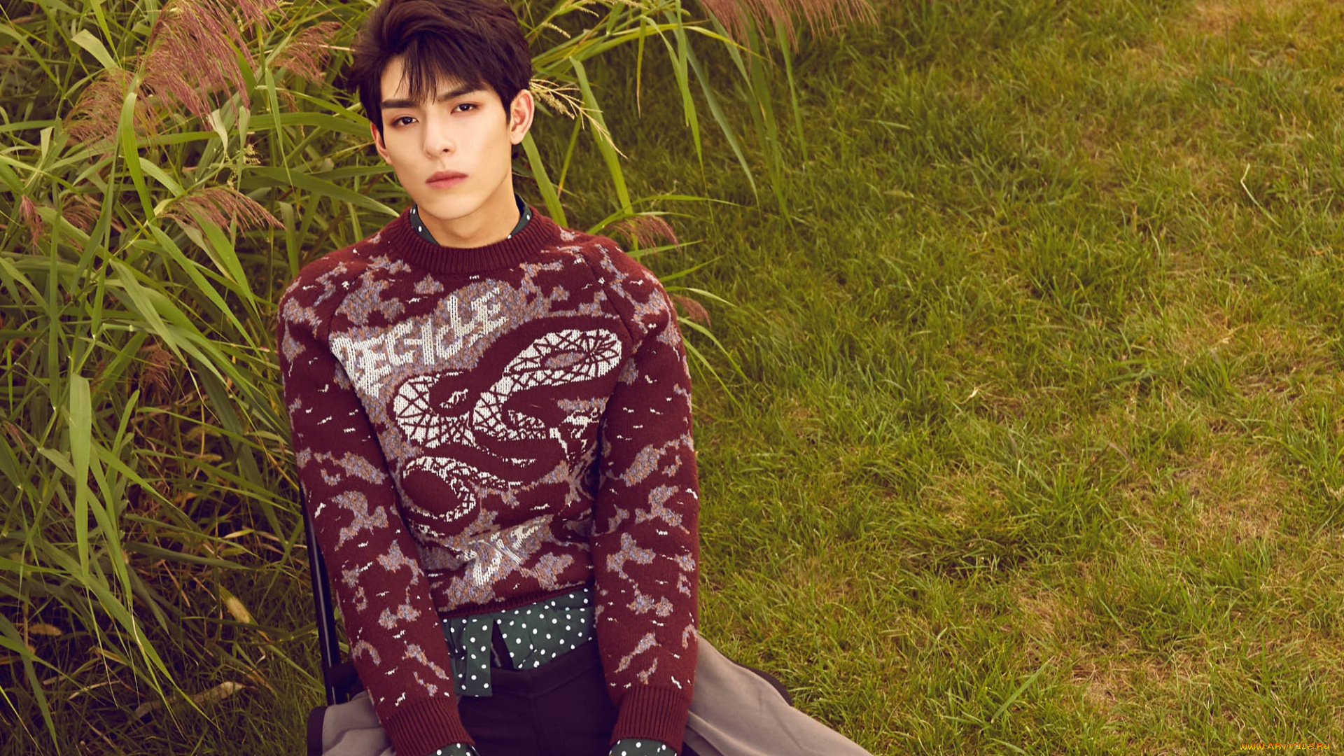 мужчины, wang, hao, xuan, ван, хао, сюань