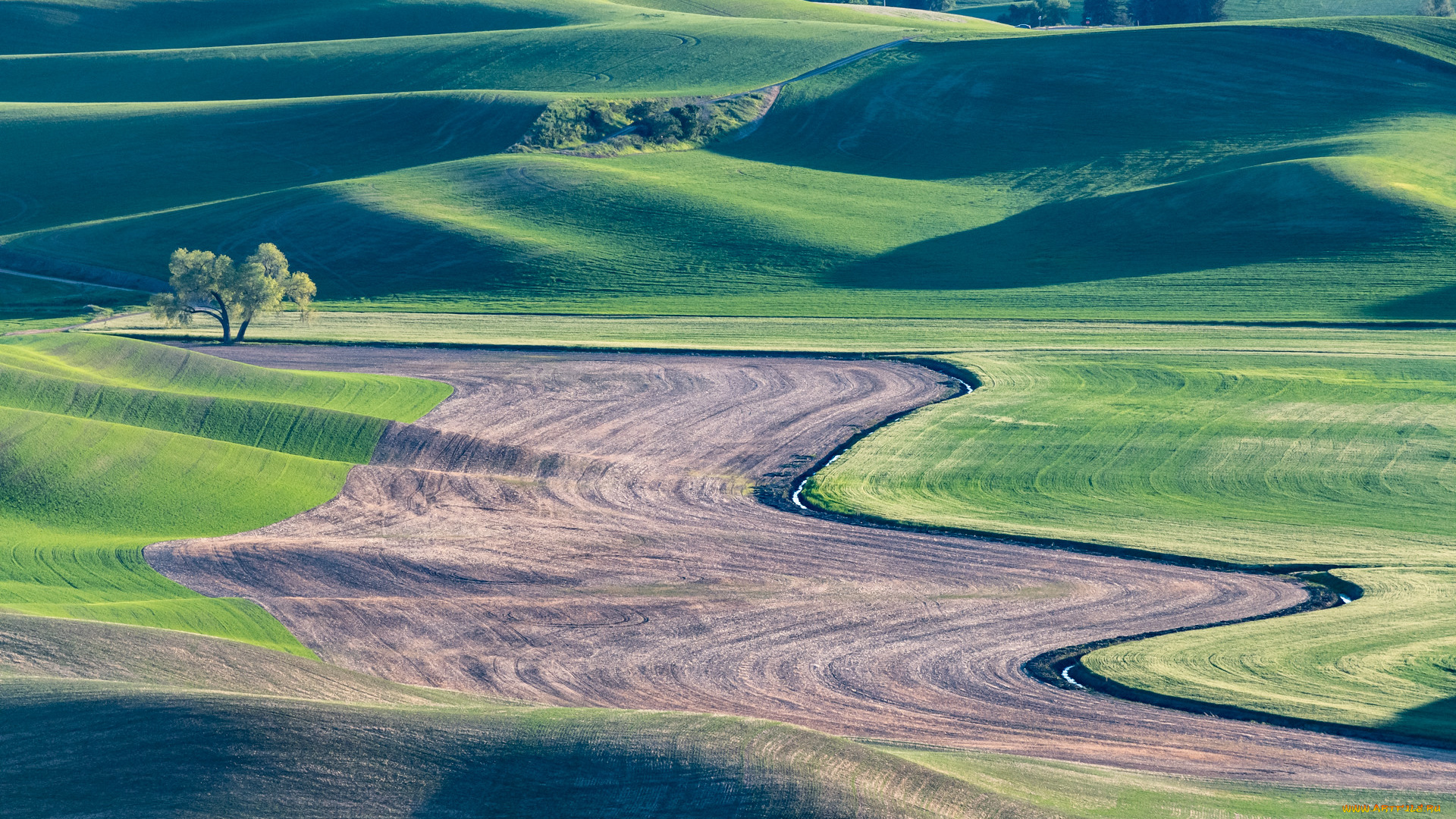 природа, луга, пейзаж